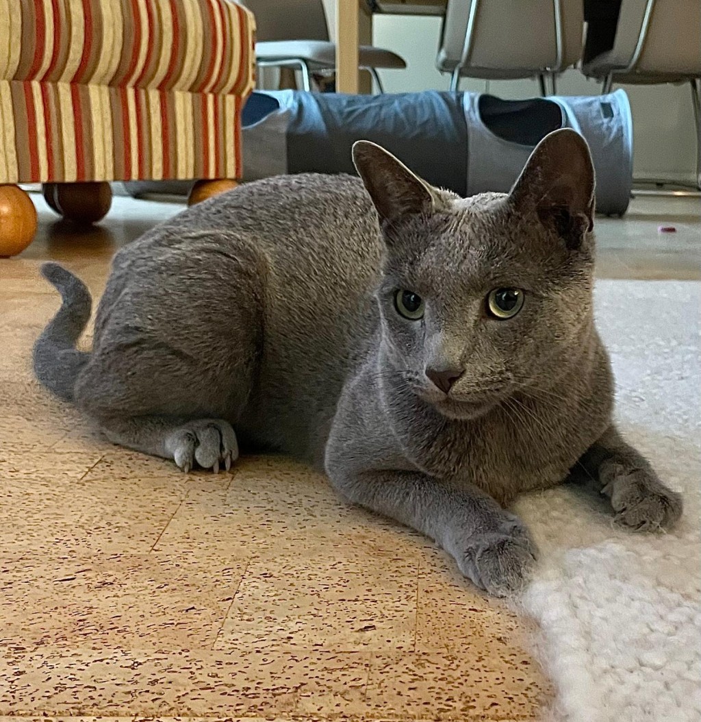 2025-08-06_21_Milo.jpg
