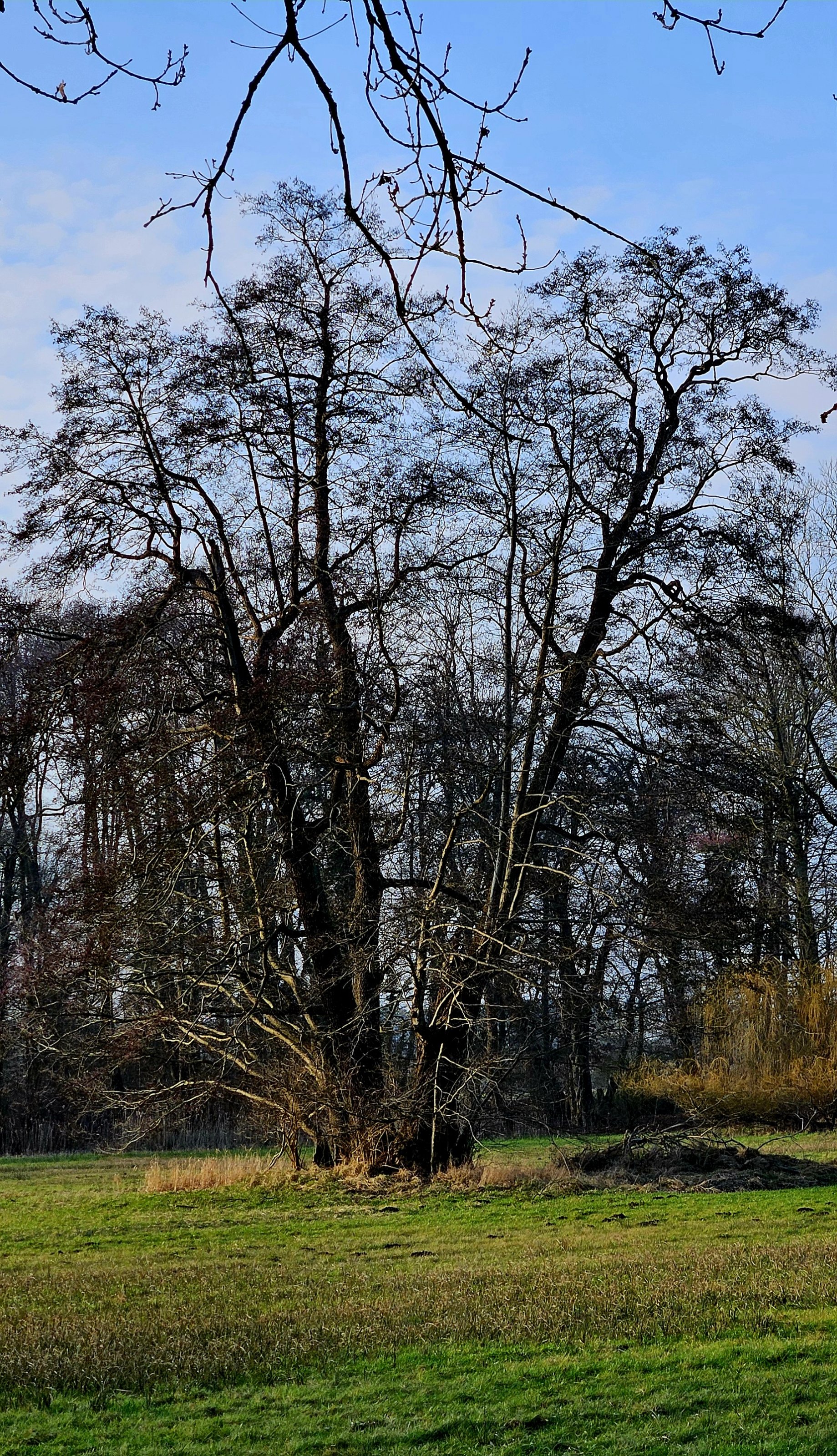 20250208_150854.jpg