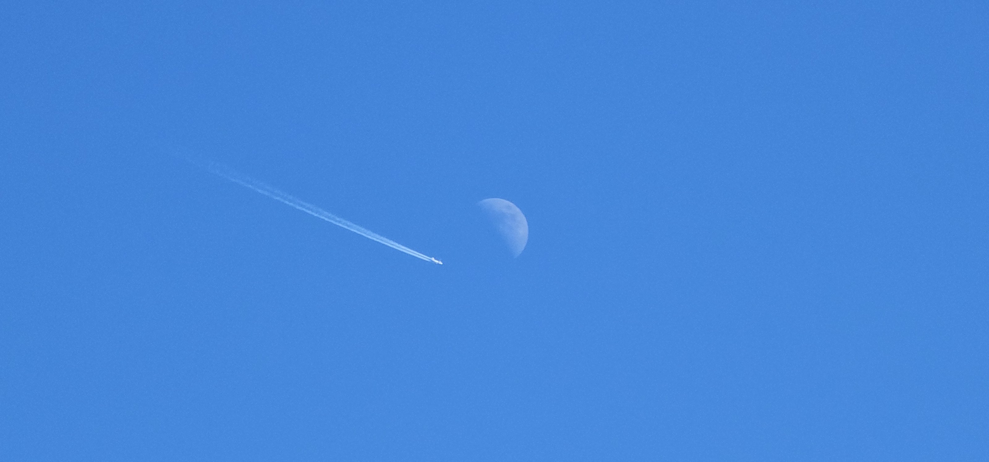 20250306_123052.jpg