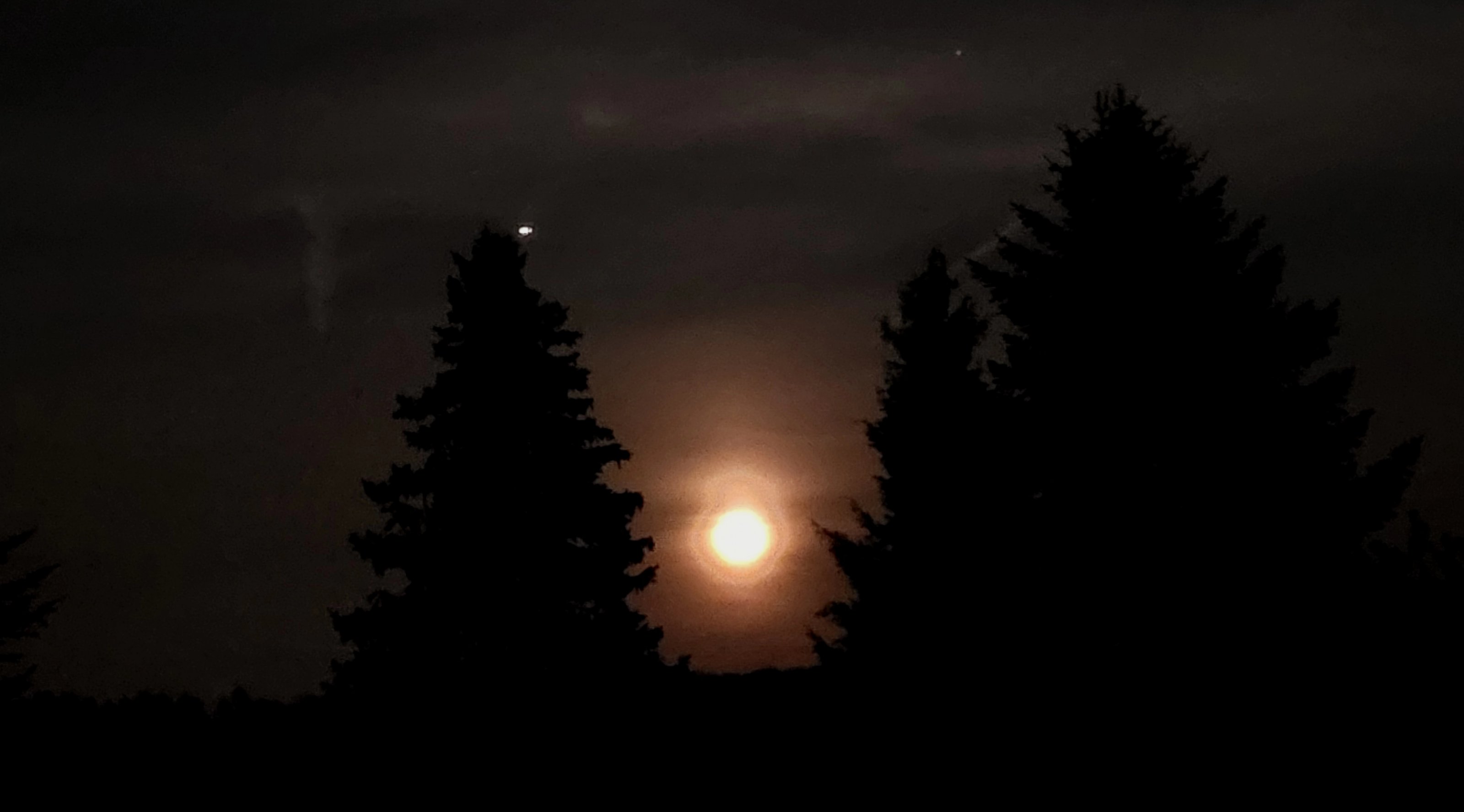 20250413_220030[1].jpg