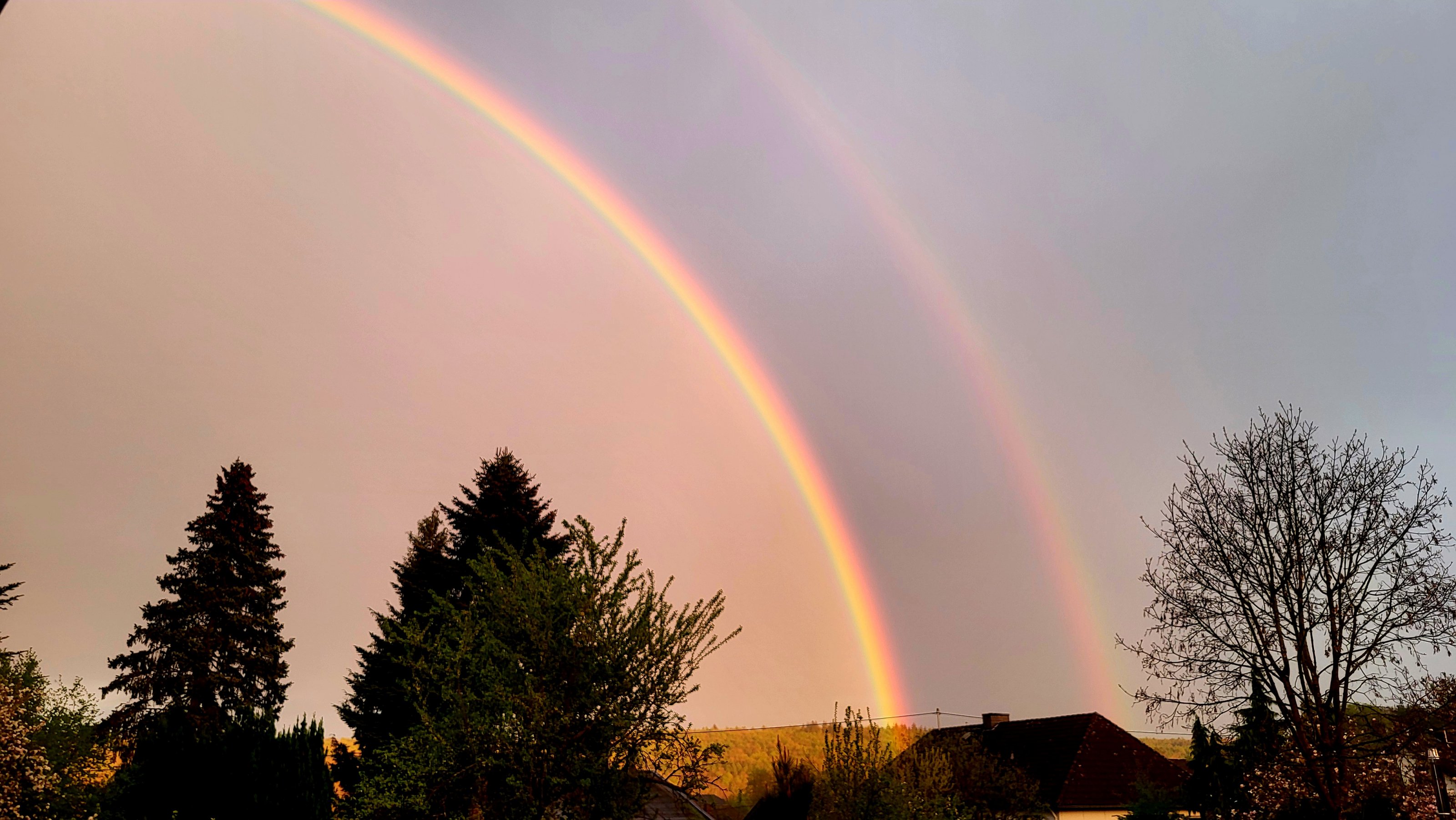 20250422_200821.jpg