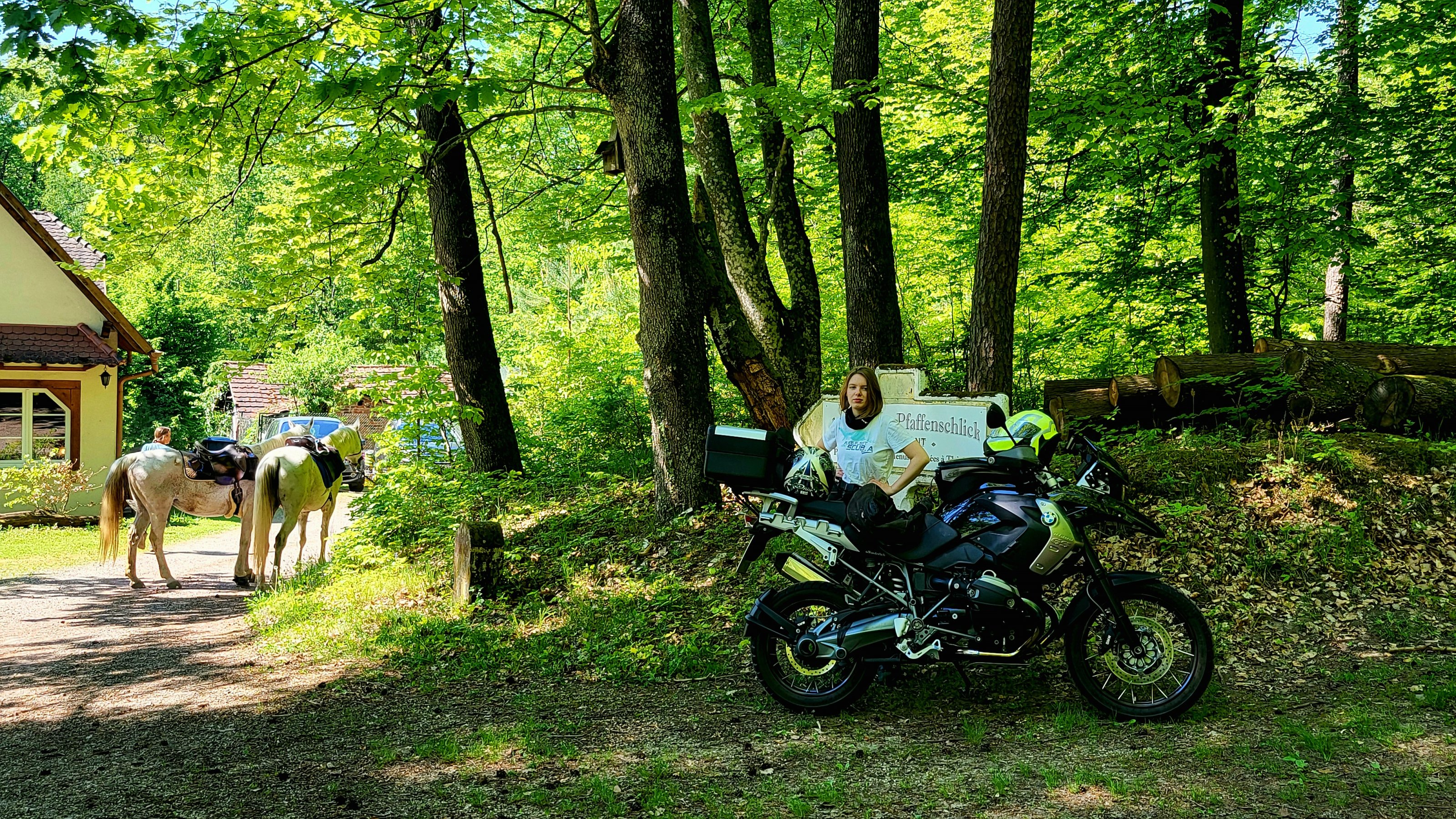 20250501_151608.jpg