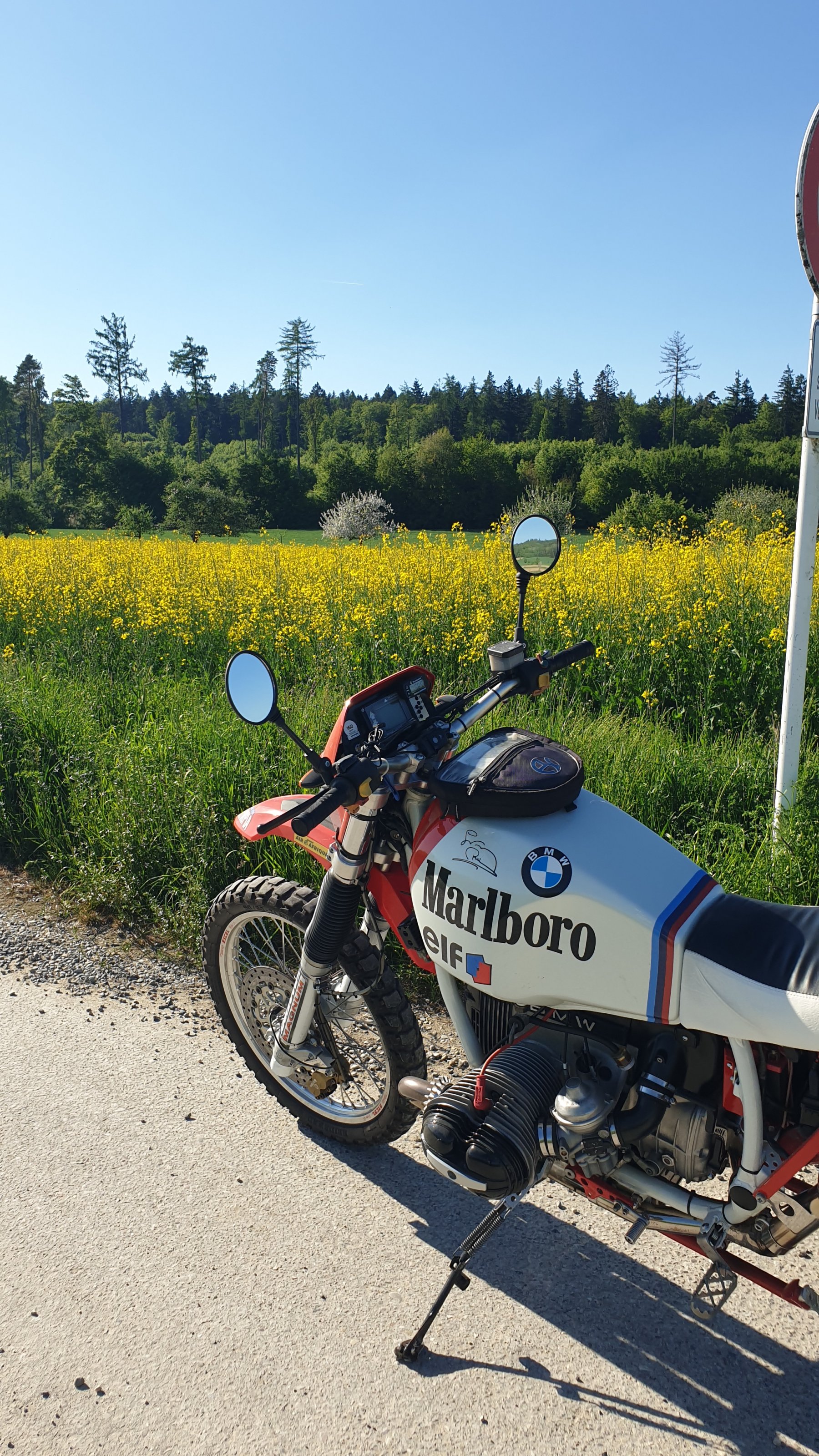 20250501_172650.jpg
