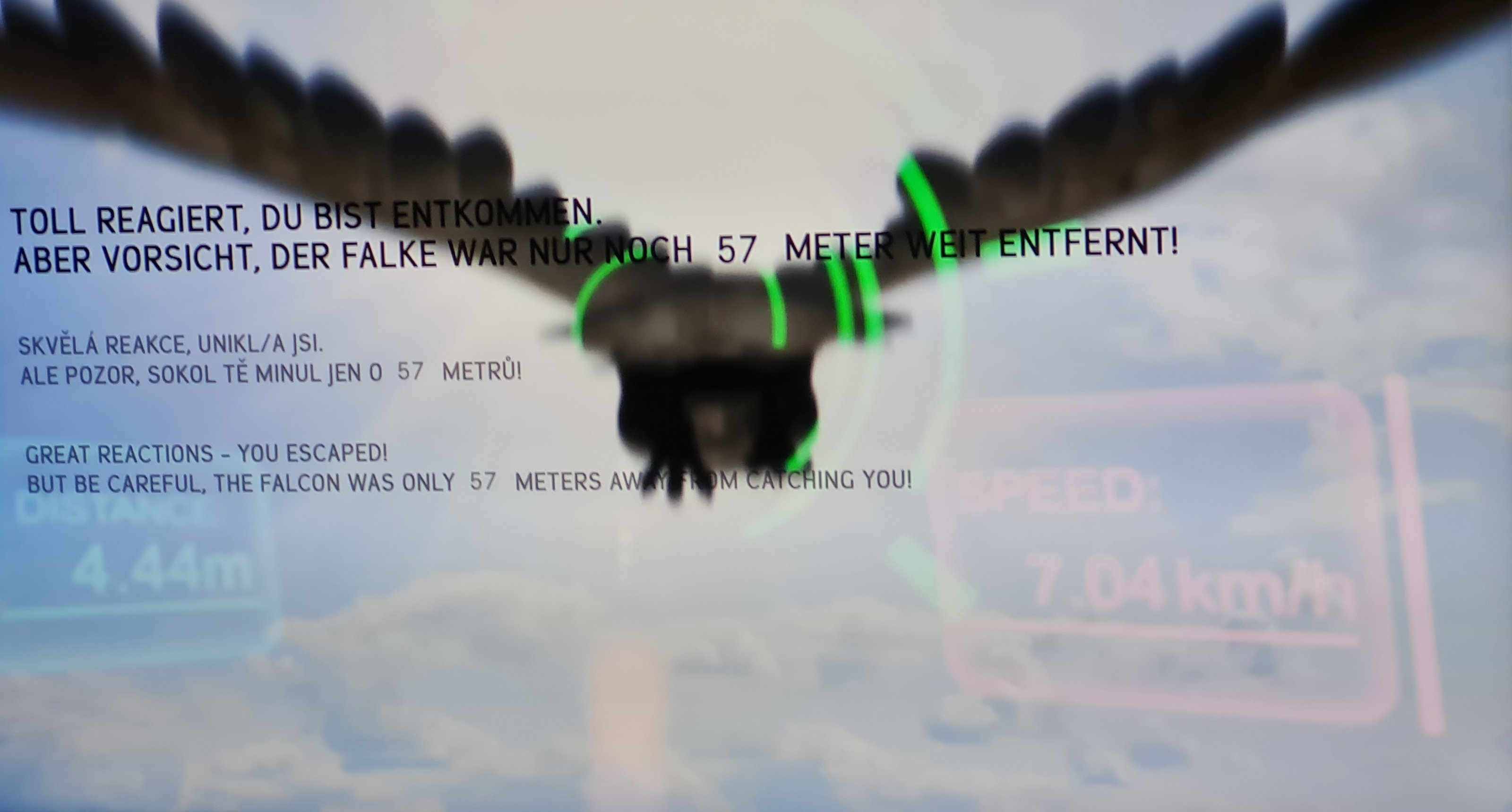 20250509_115145.jpg
