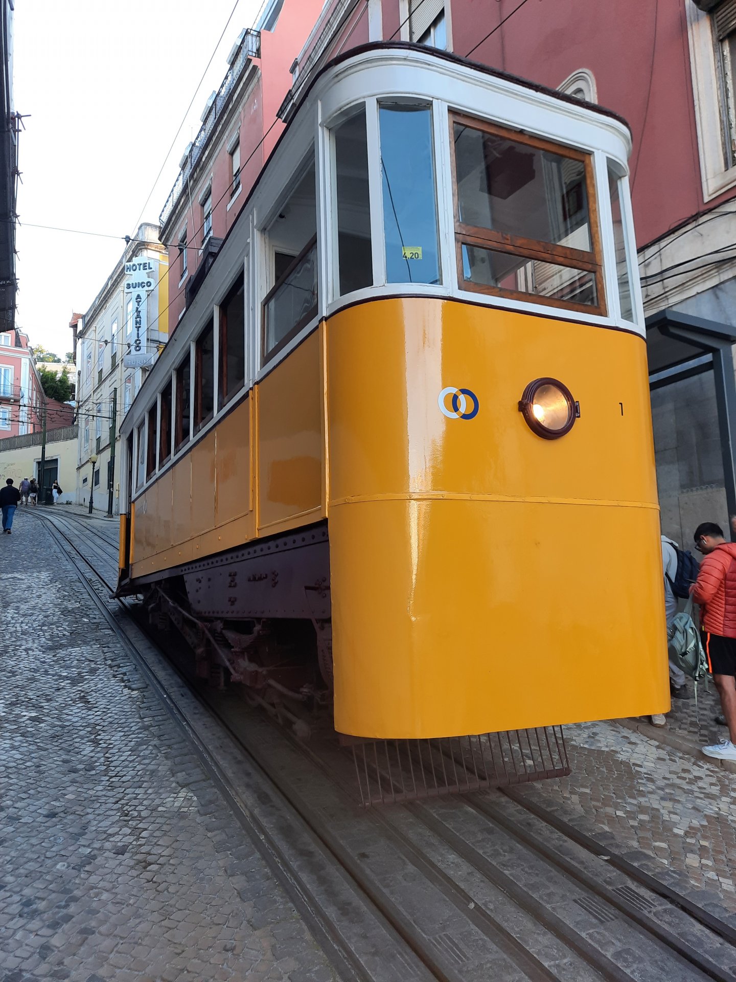 20250513_192116[1].jpg