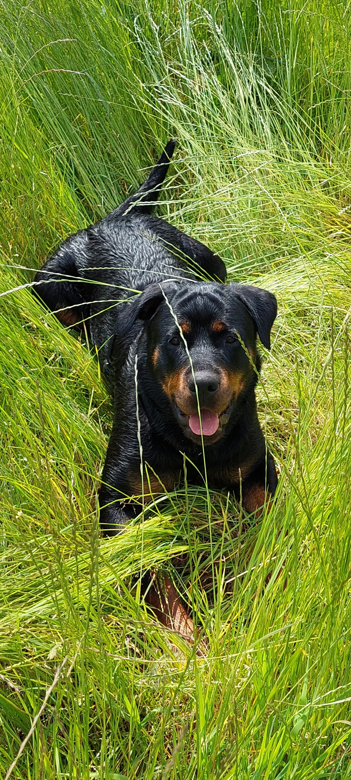 20250524_113407.jpg