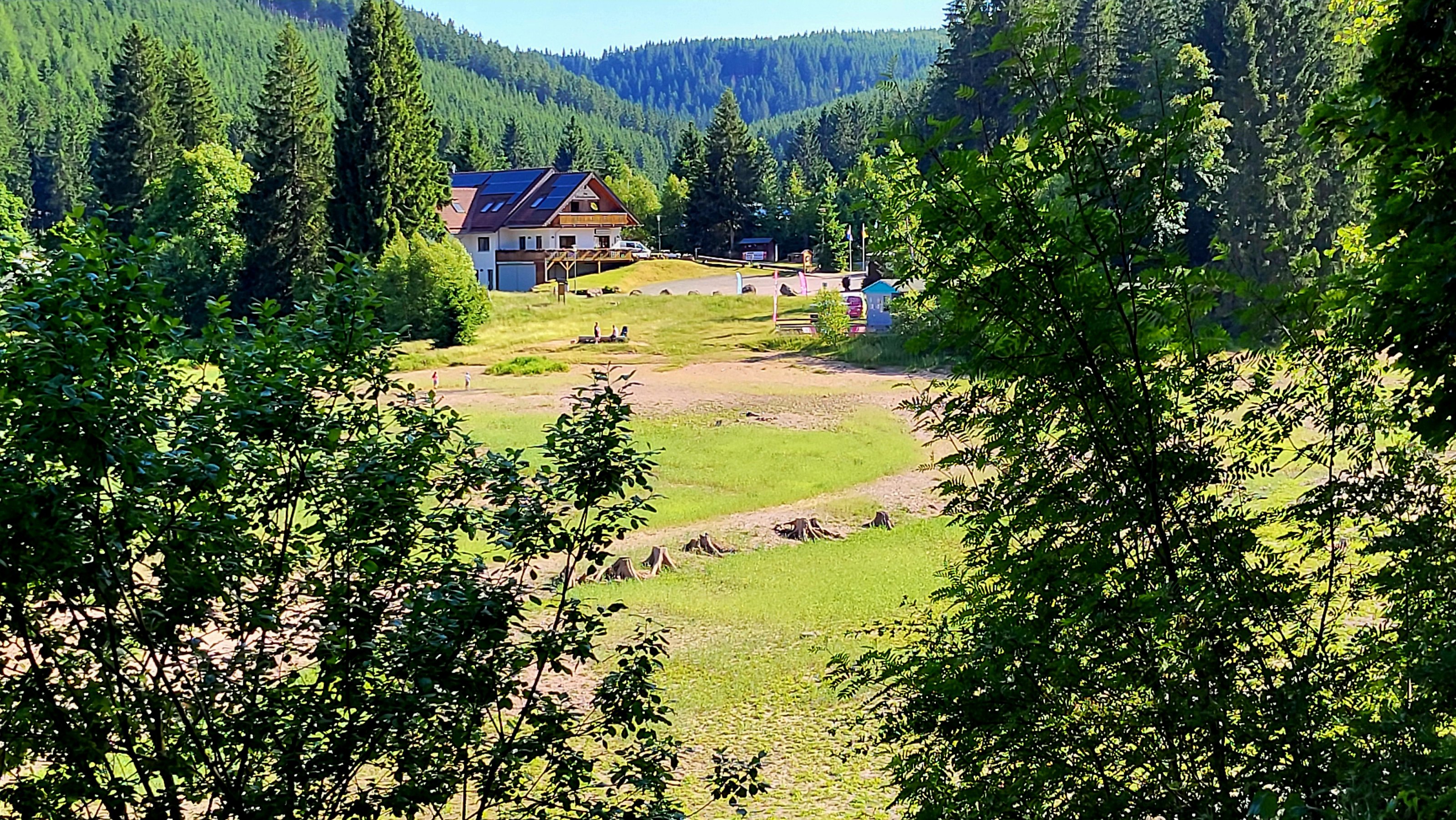 20250619_172257.jpg