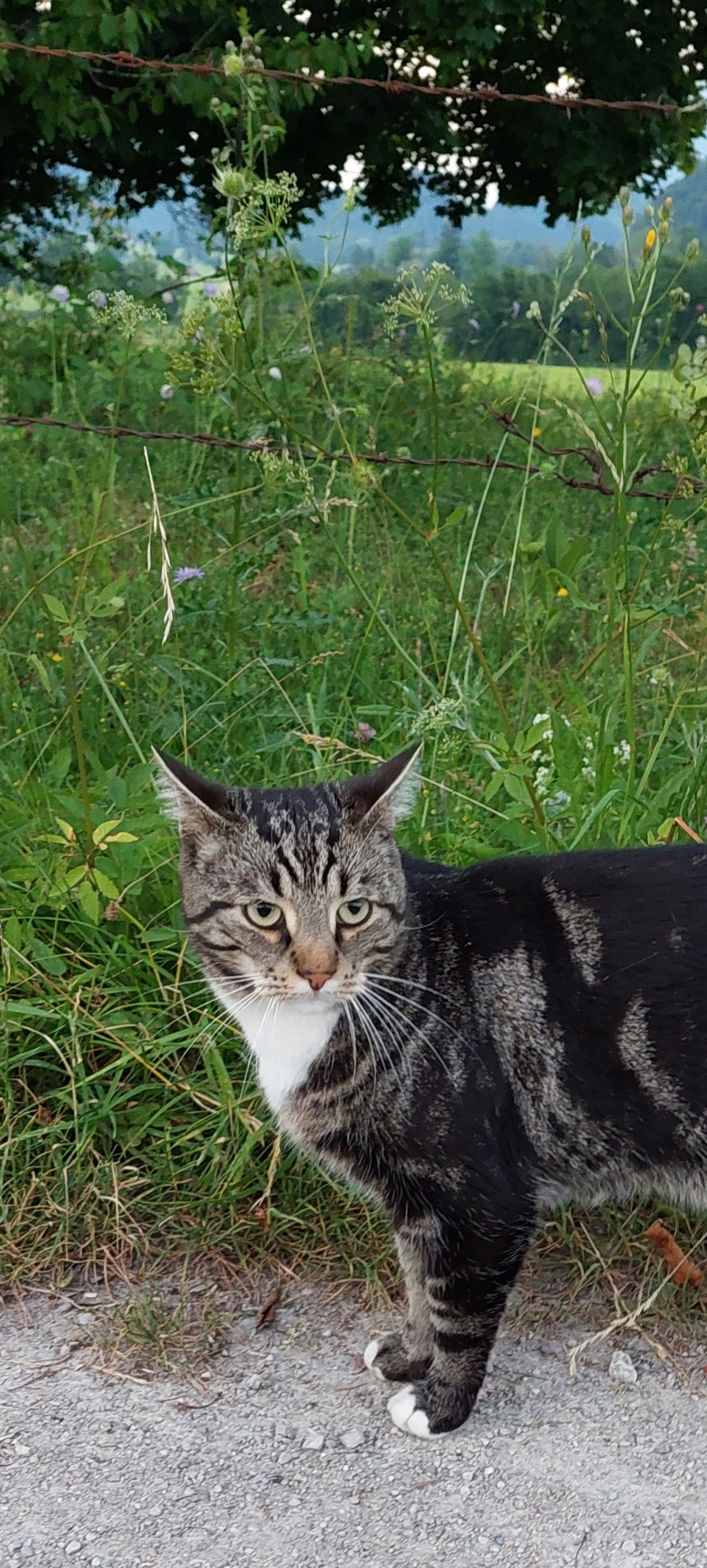 20250619_210913.jpg
