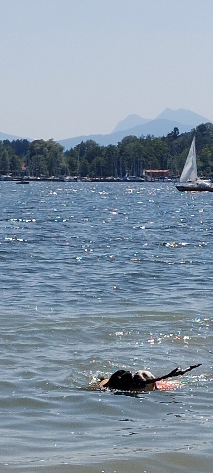 20250621_111009.jpg
