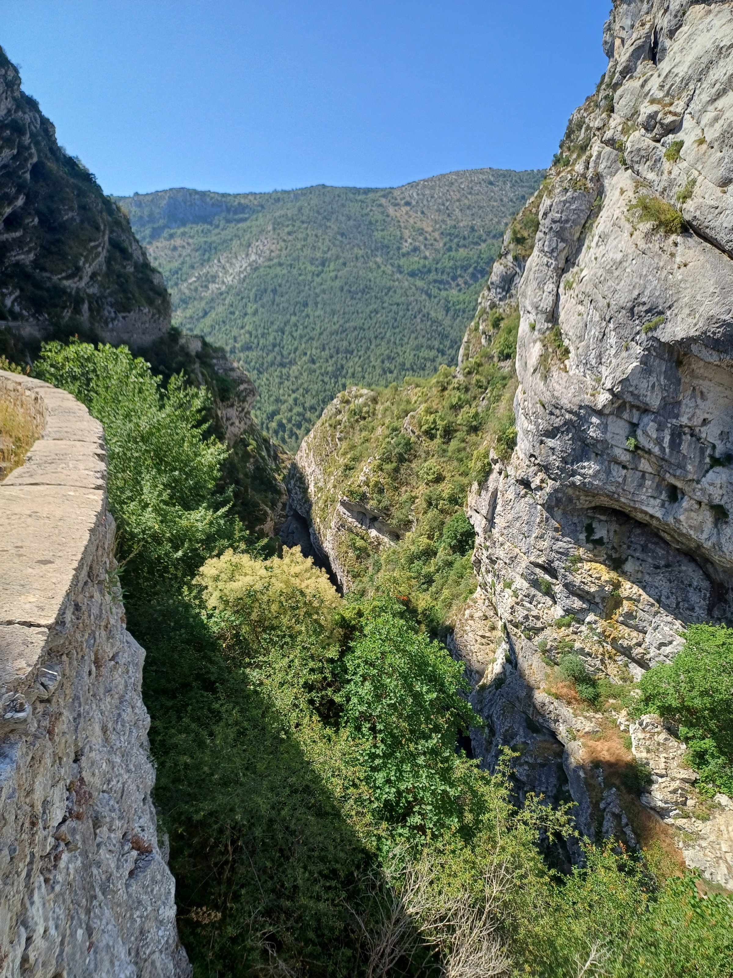 20250624_105741.jpg
