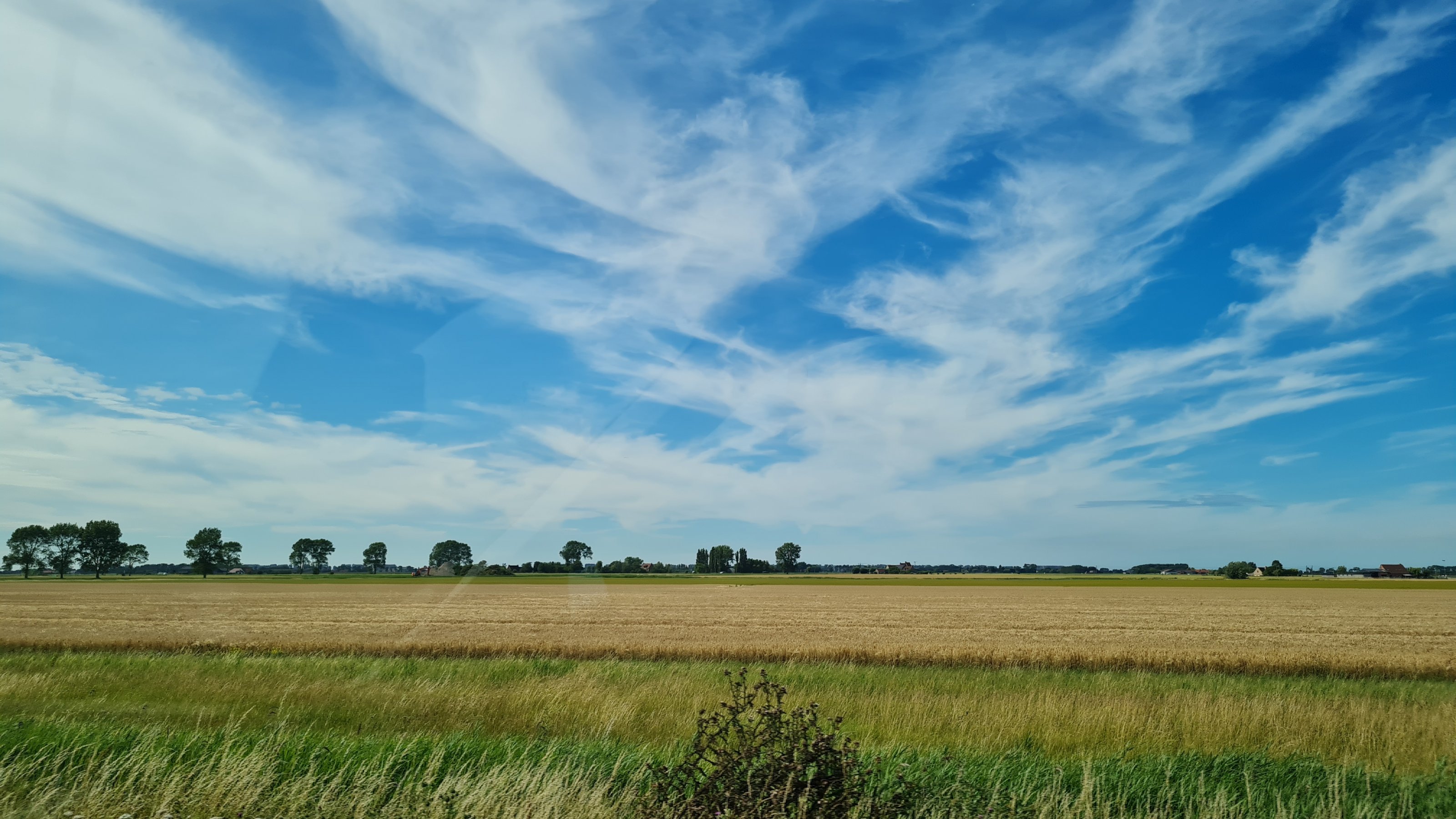 20250627_173150.jpg
