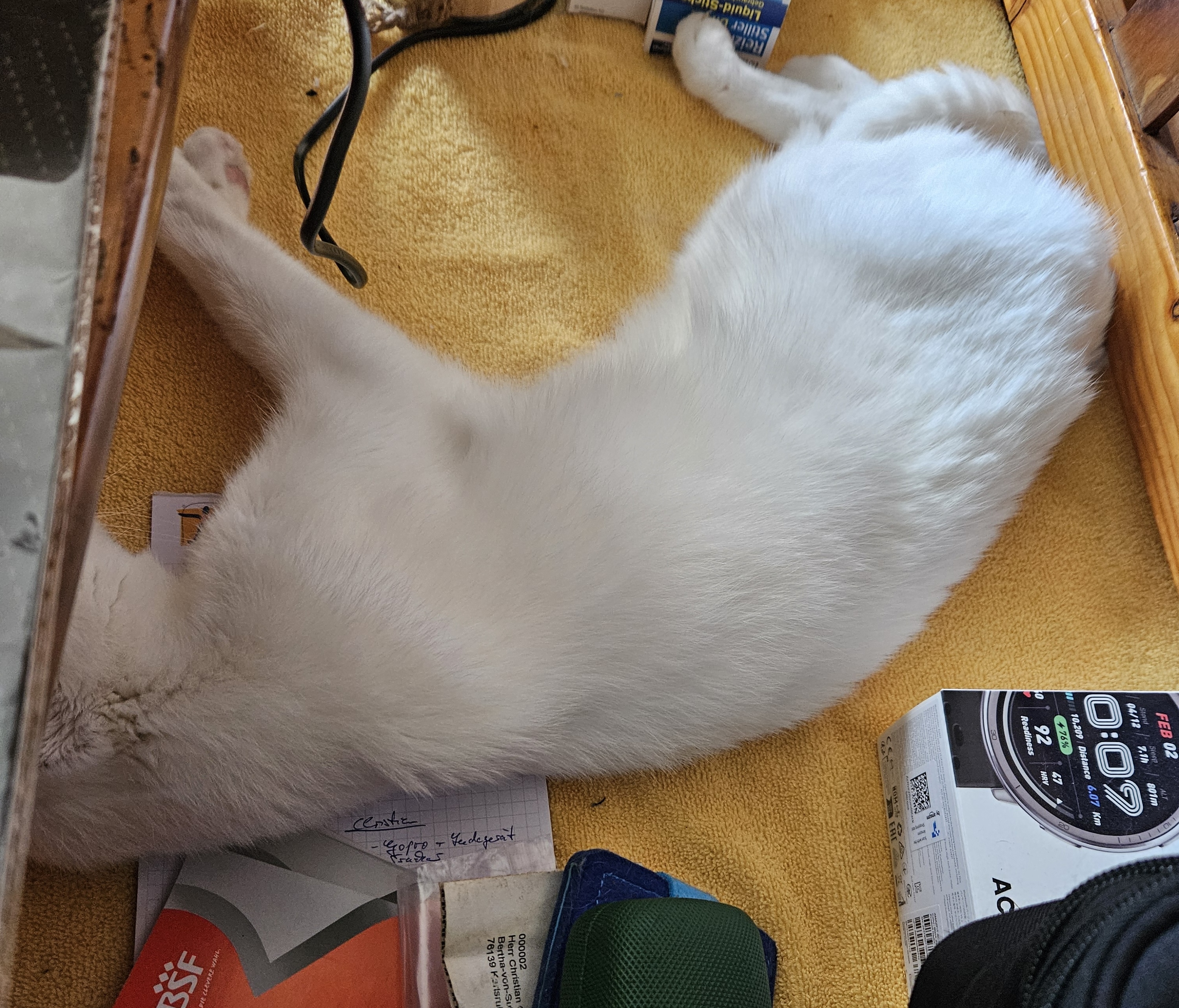 20250628_103723.jpeg