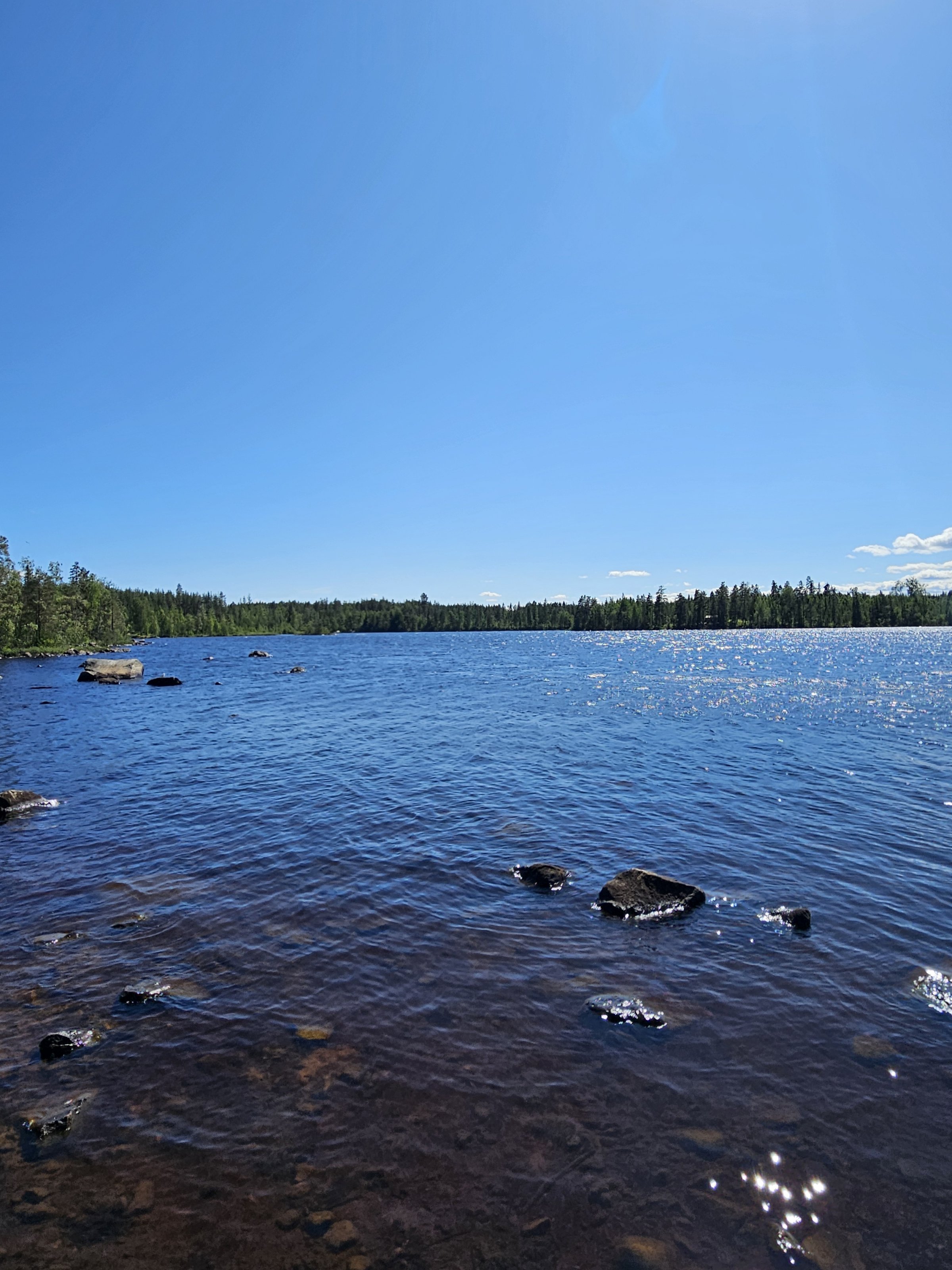 20250630_142715.jpg