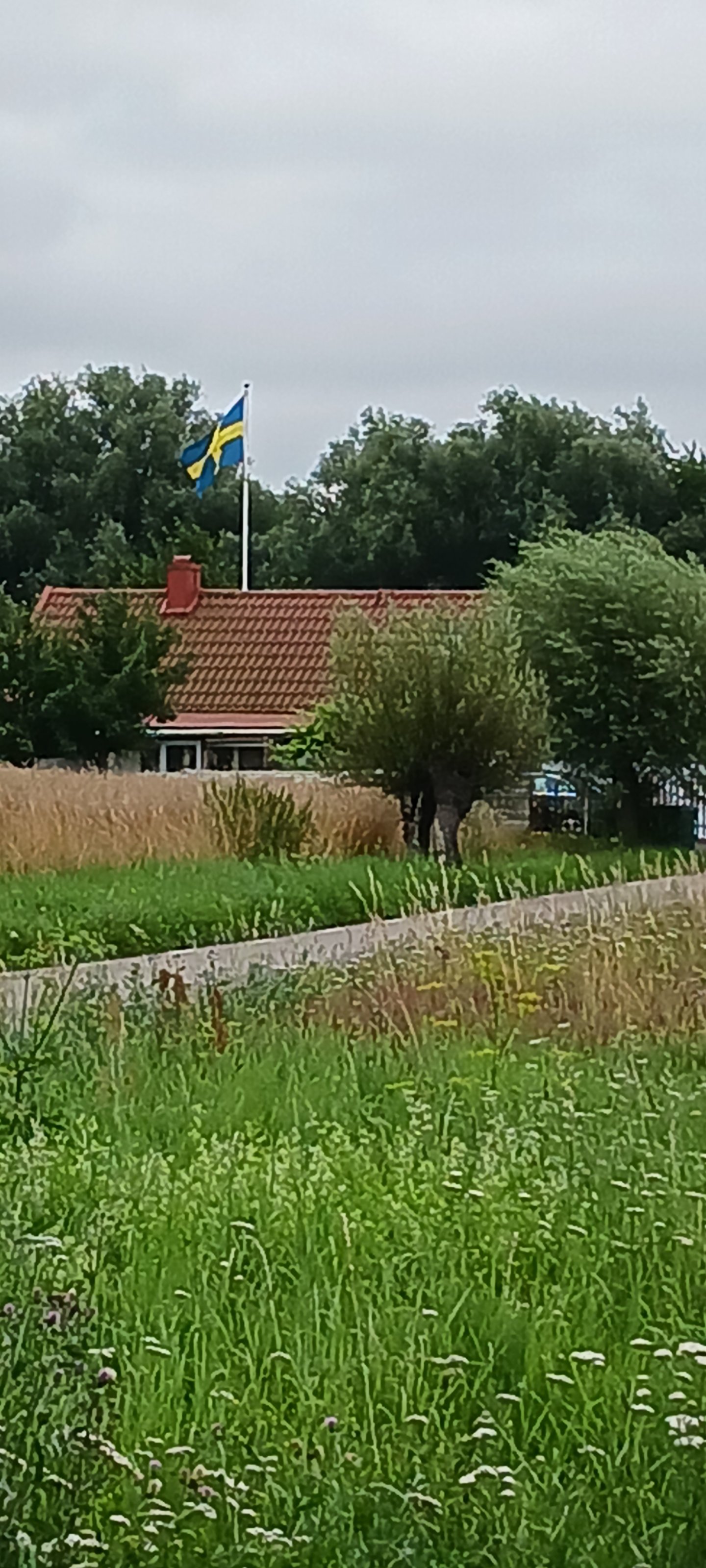 20250726_090327.jpg