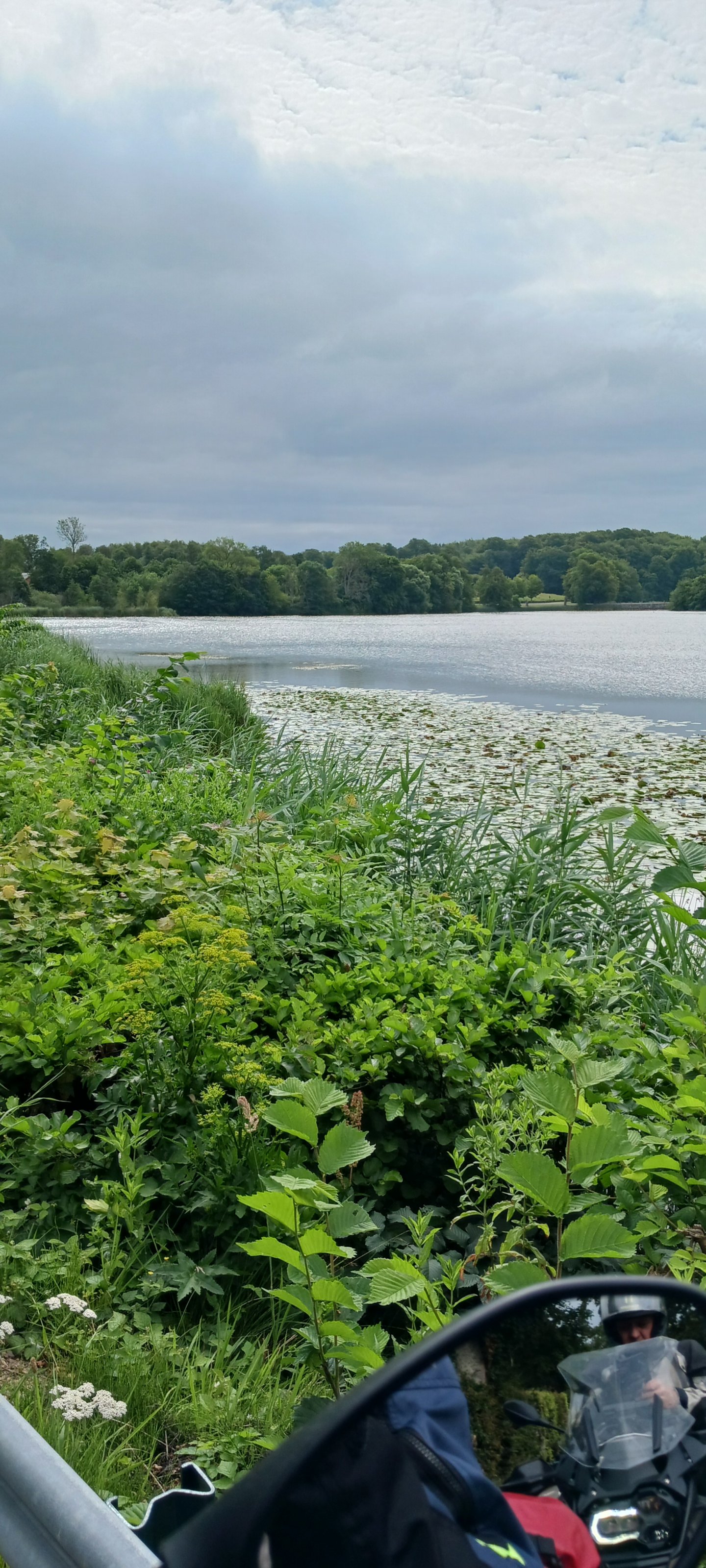 20250726_093149.jpg