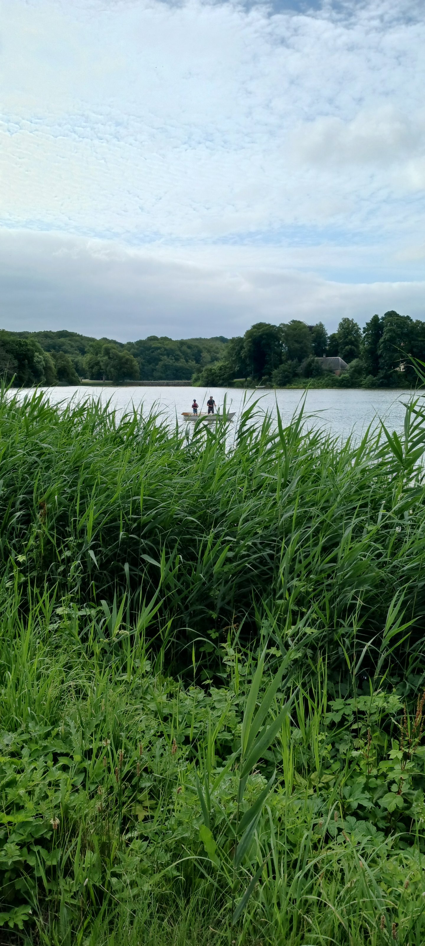 20250726_093333.jpg