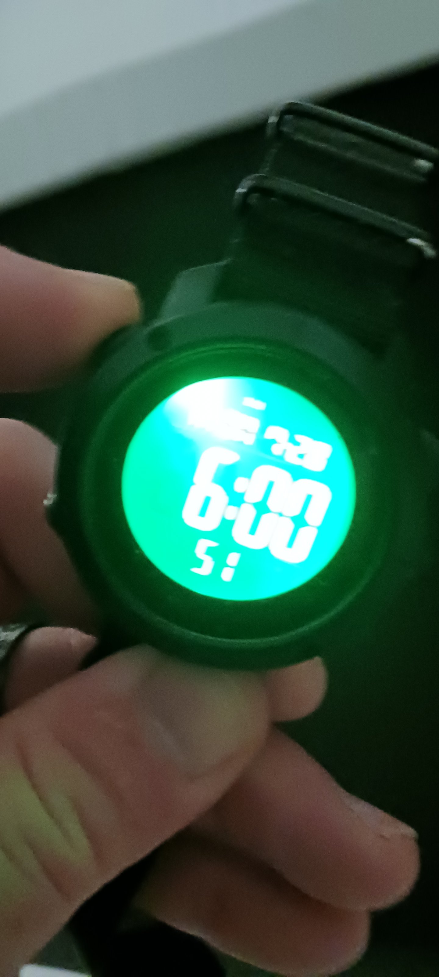 20250728_055957.jpg