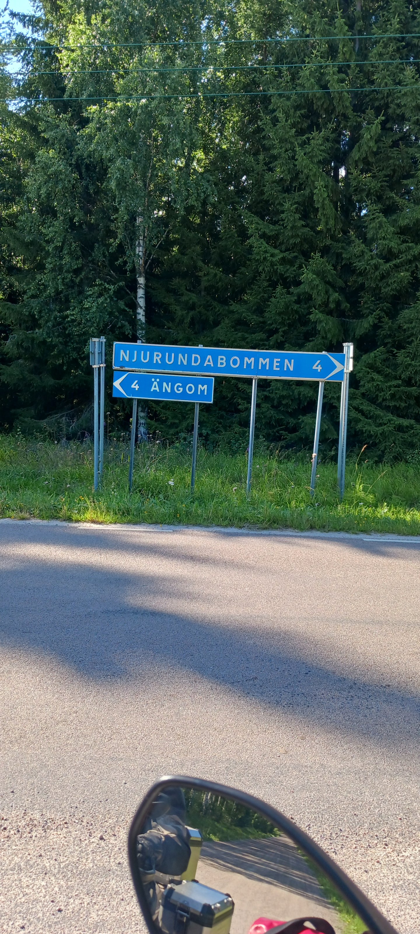 20250728_161728.jpg