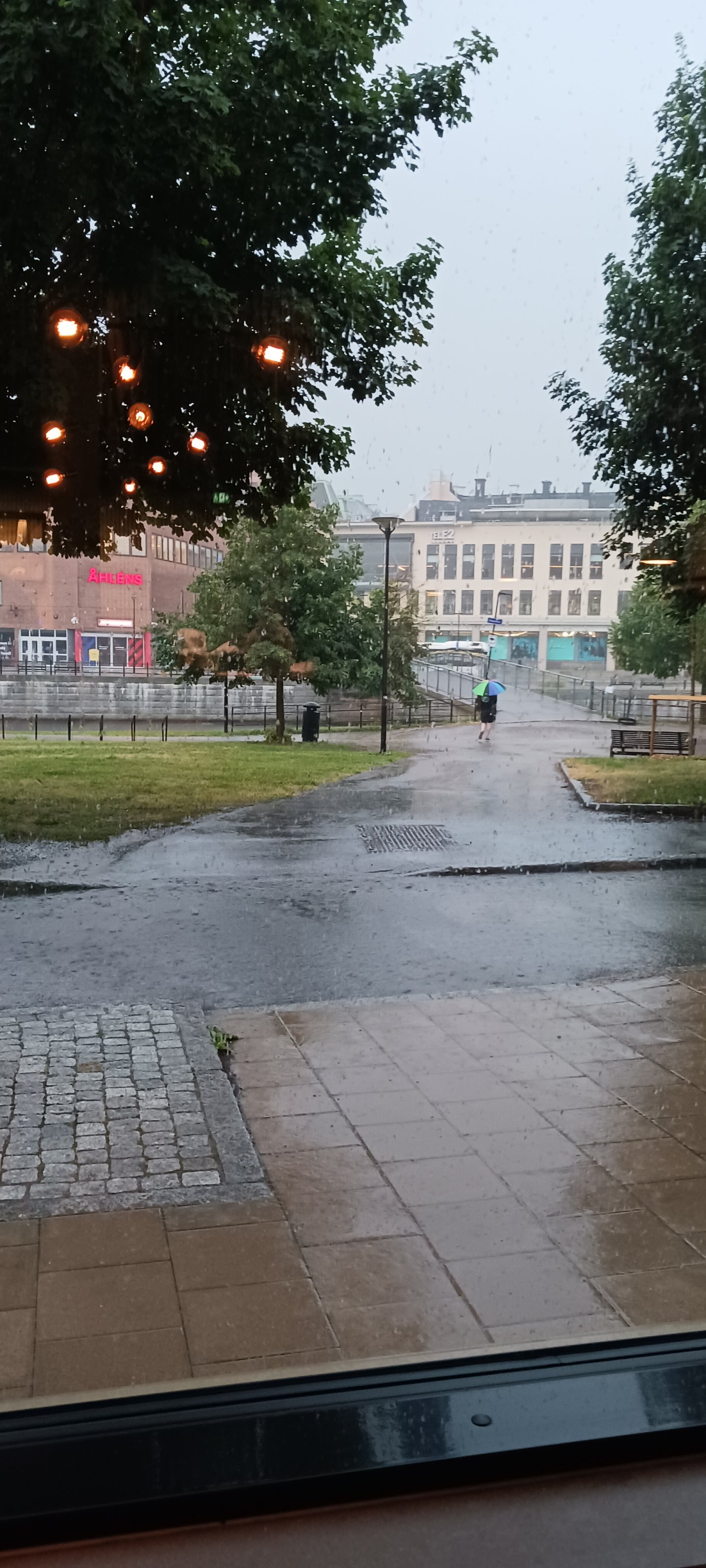 20250729_080427.jpg