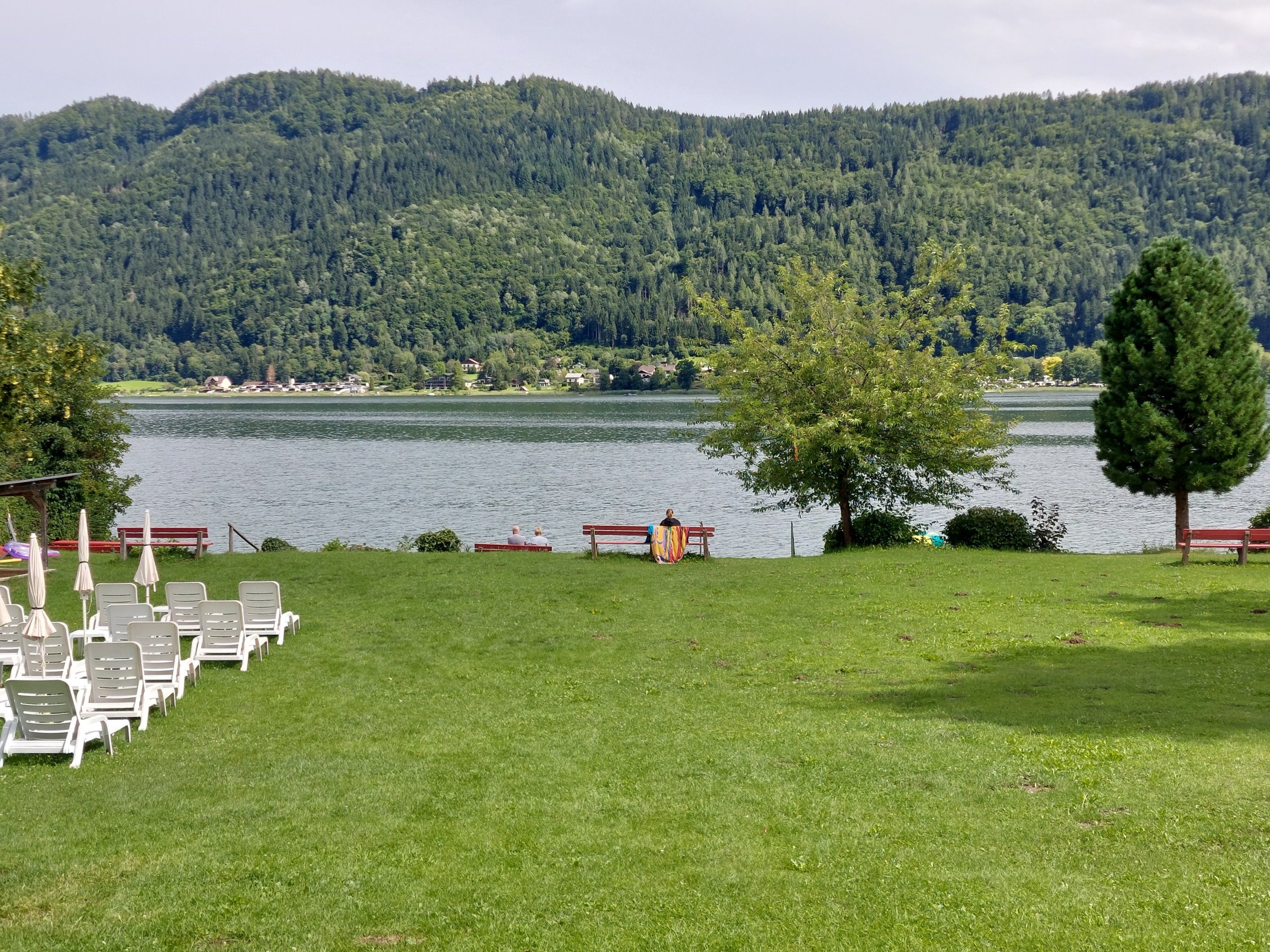 20250729_154243.jpg
