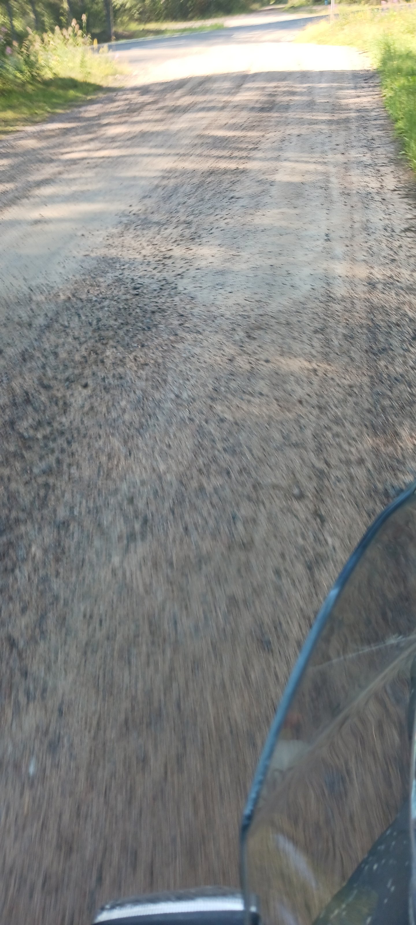 20250731_094530.jpg