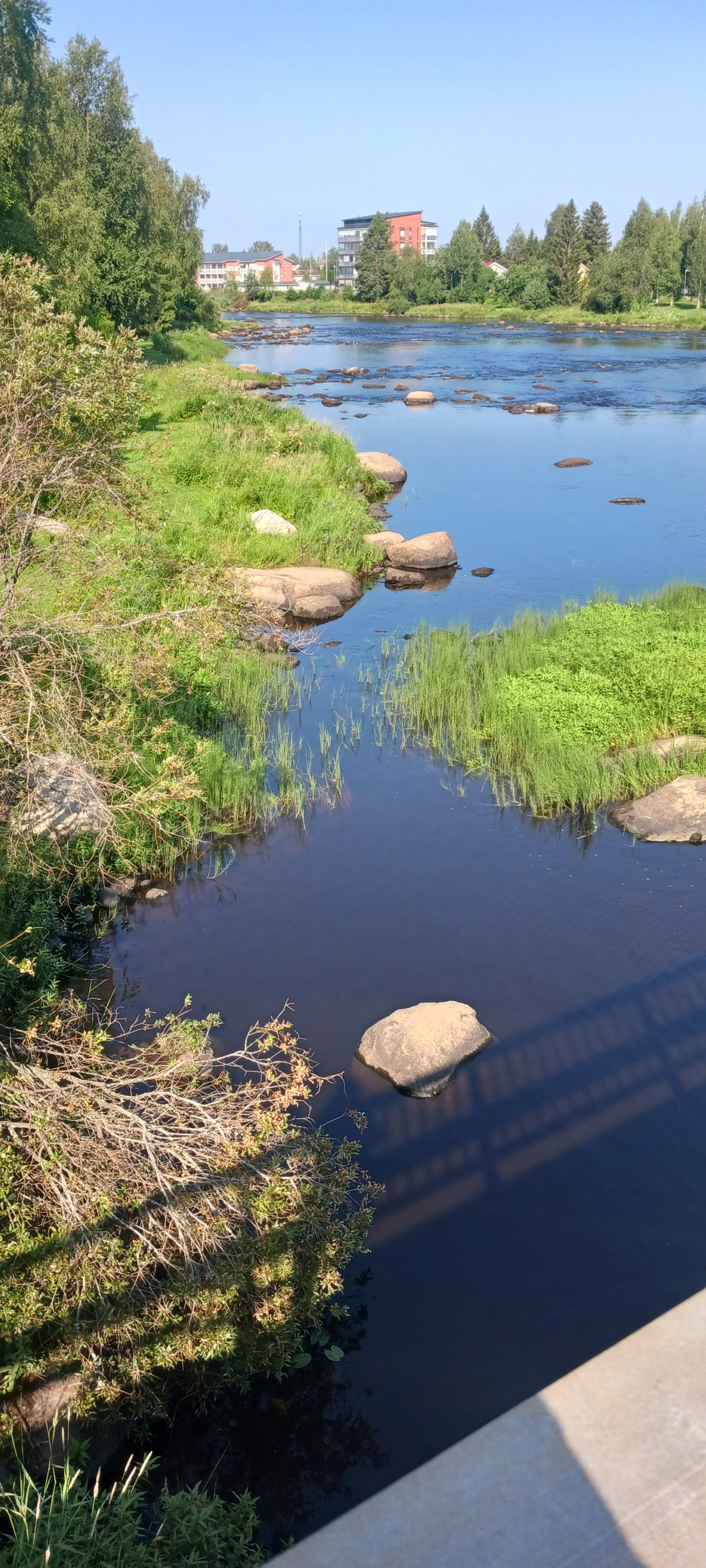20250731_103605.jpg