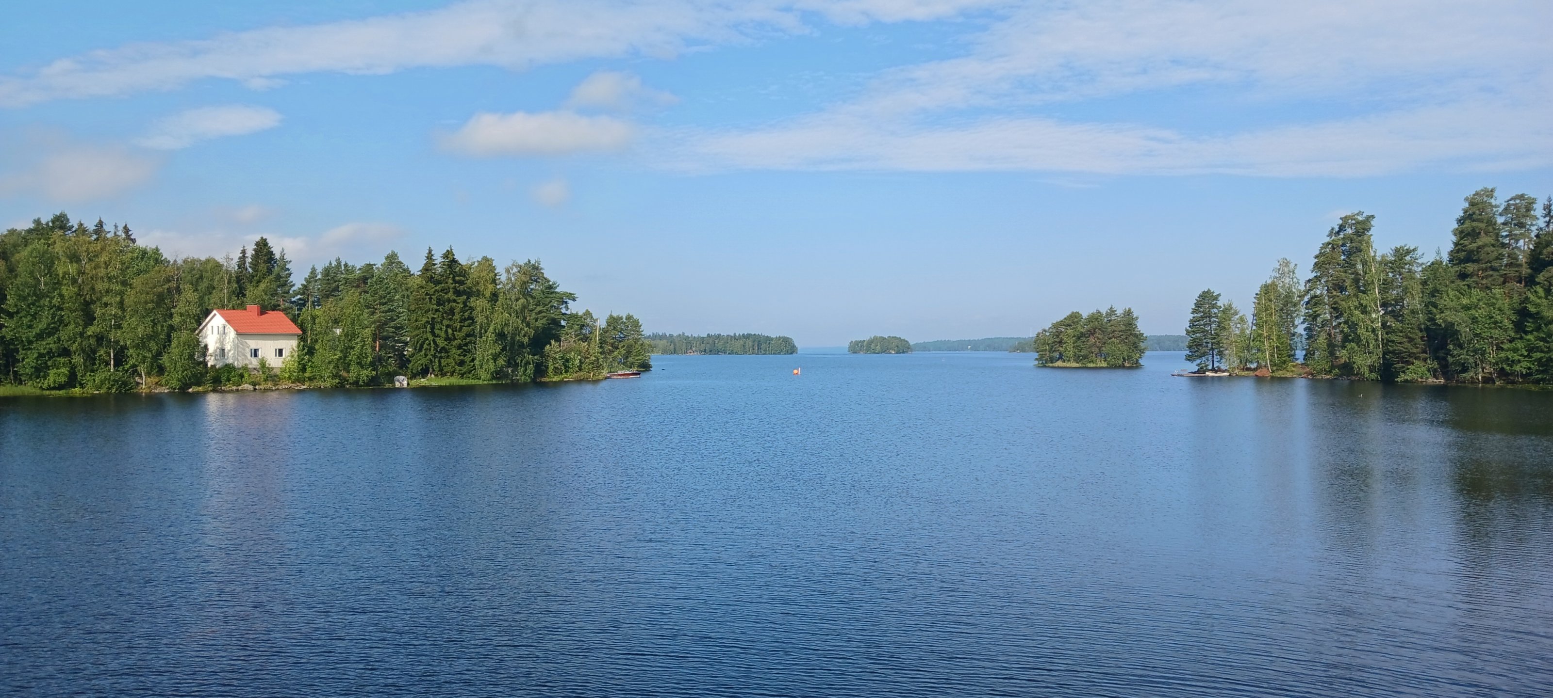 20250801_094149.jpg