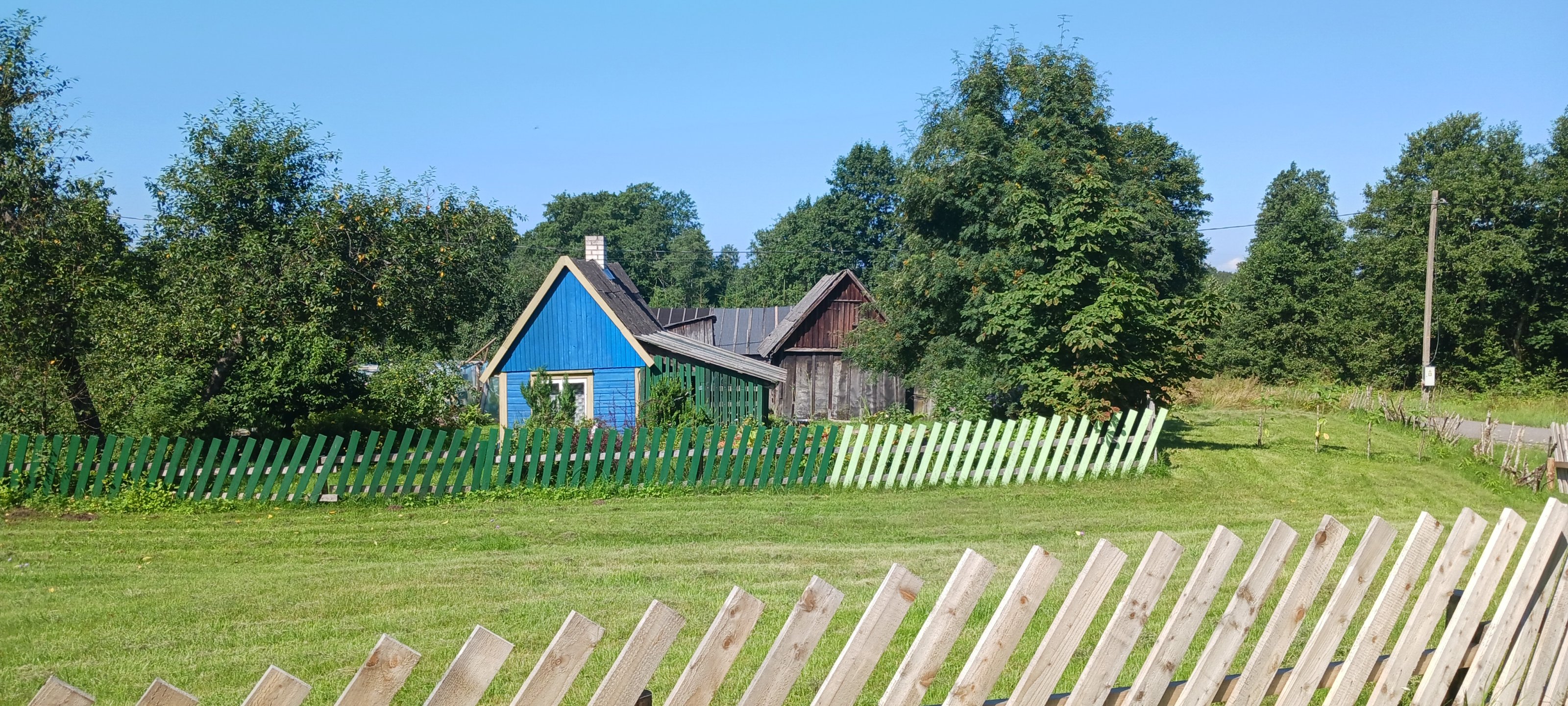 20250802_113257.jpg