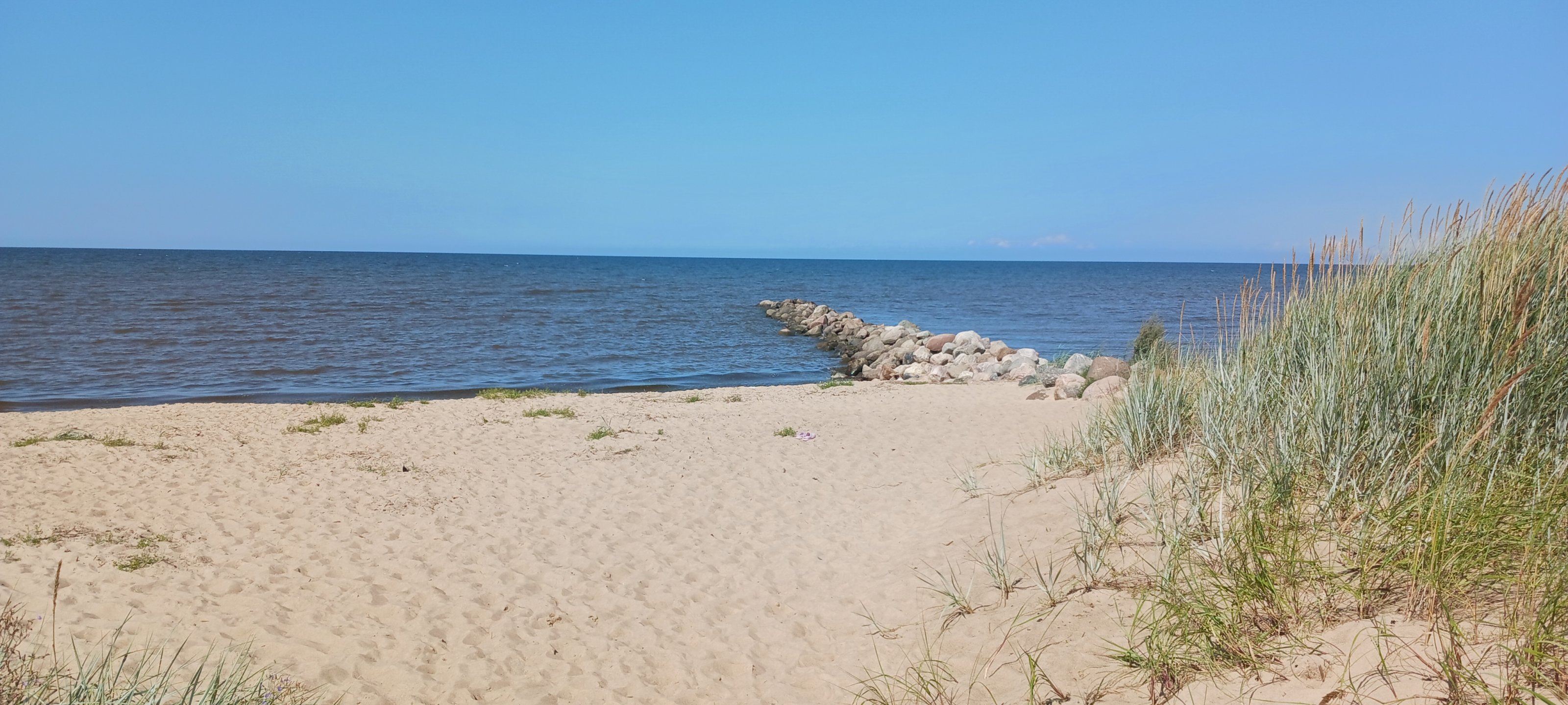 20250802_115950.jpg