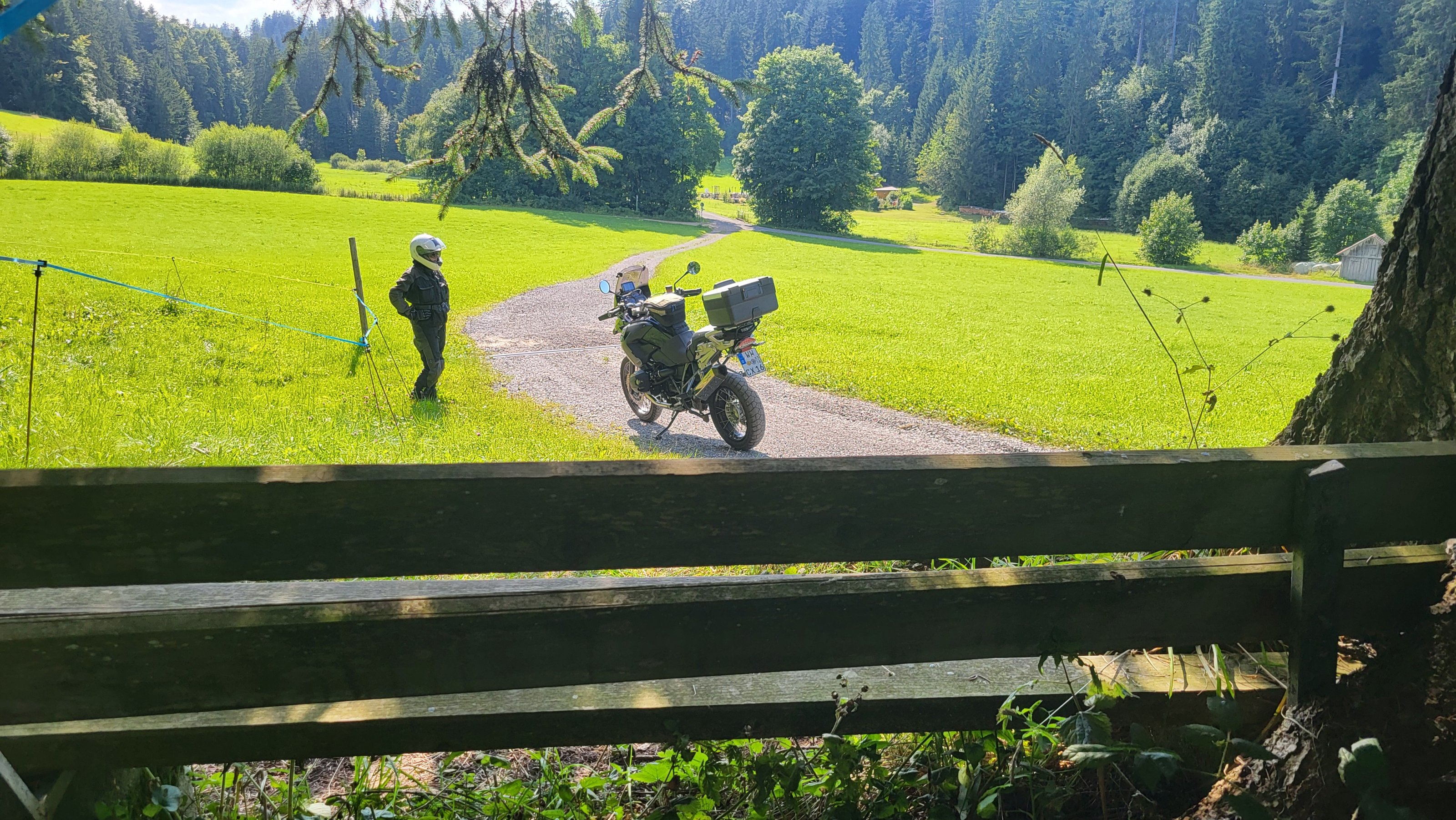 20250805_162906.jpg