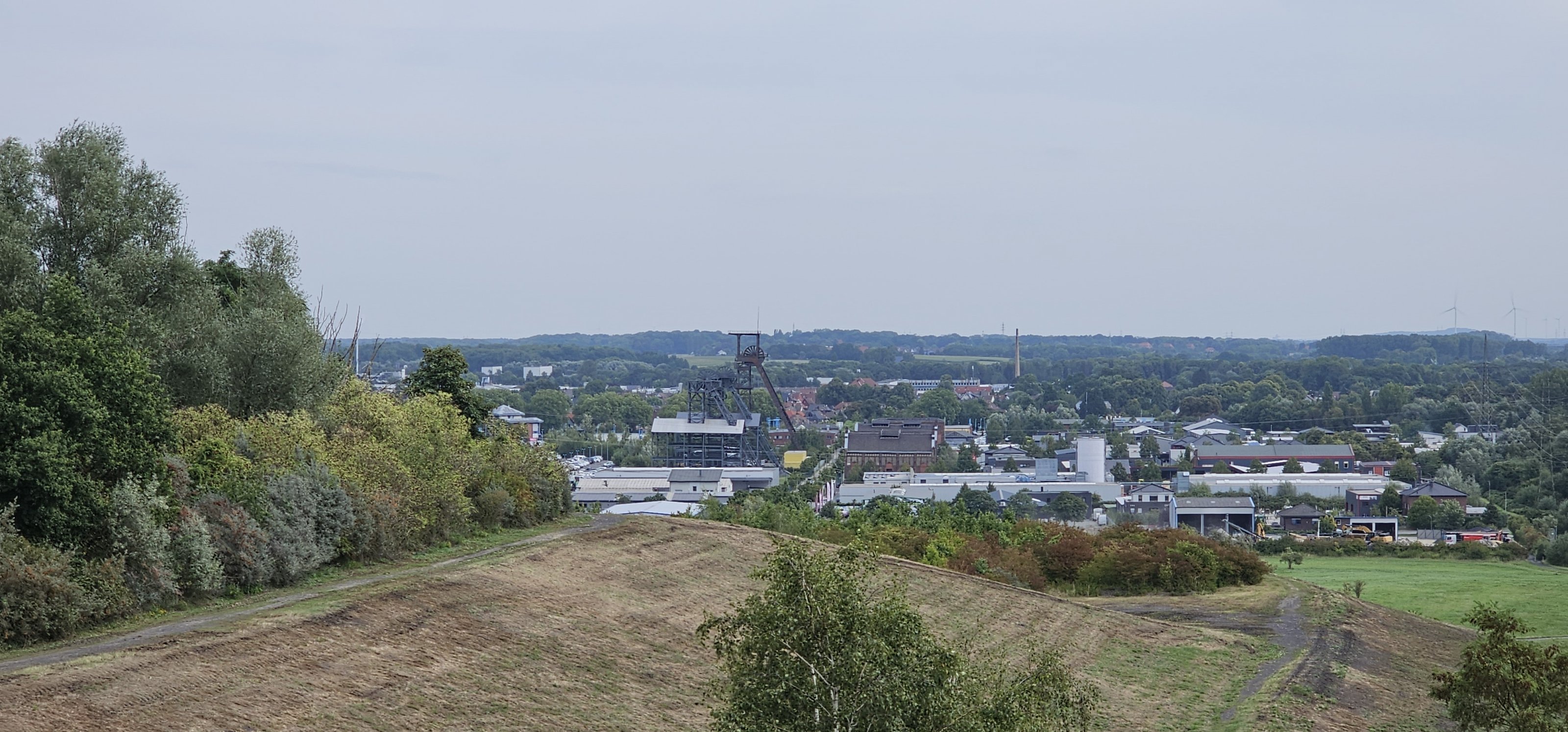 20250808_114806.jpg
