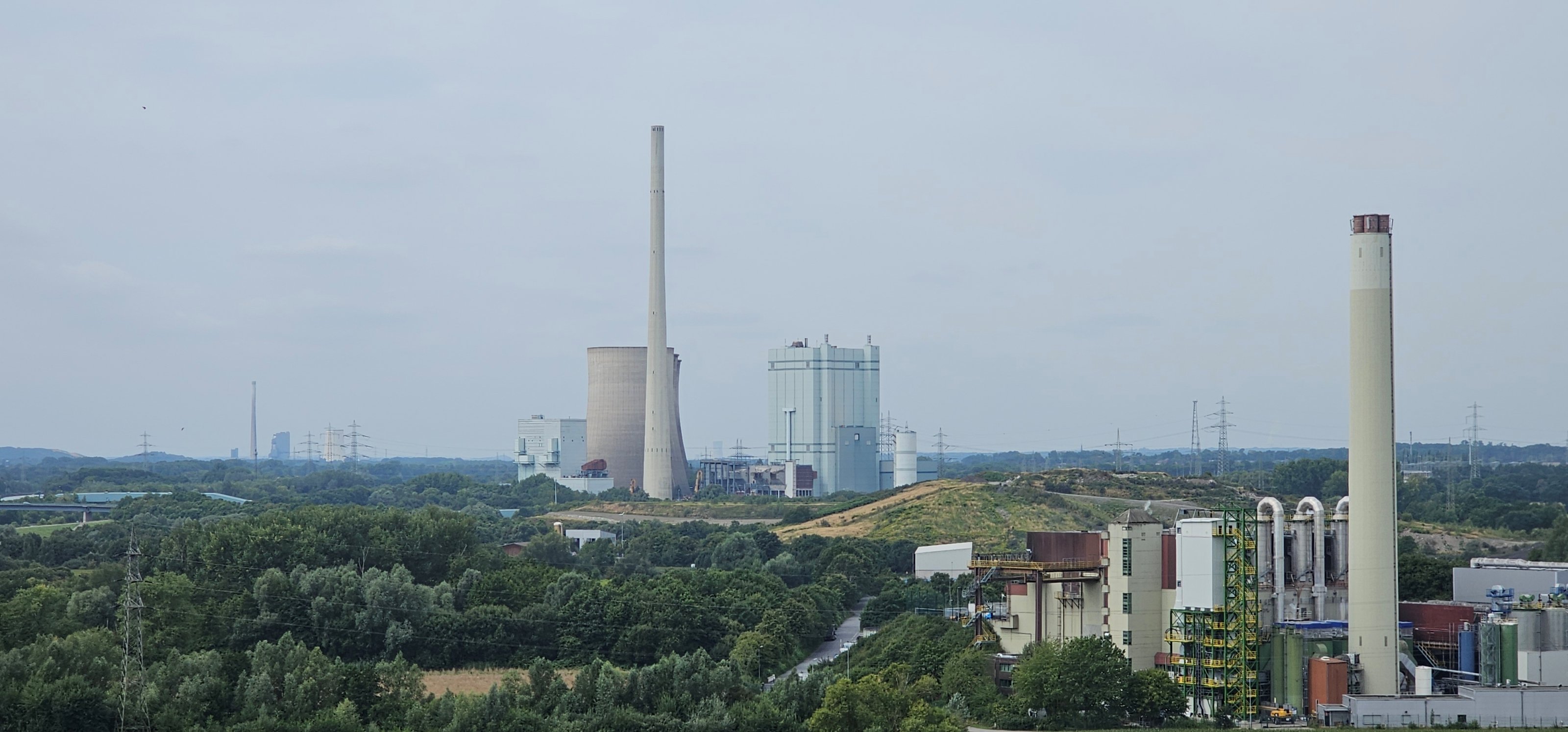20250808_114859.jpg
