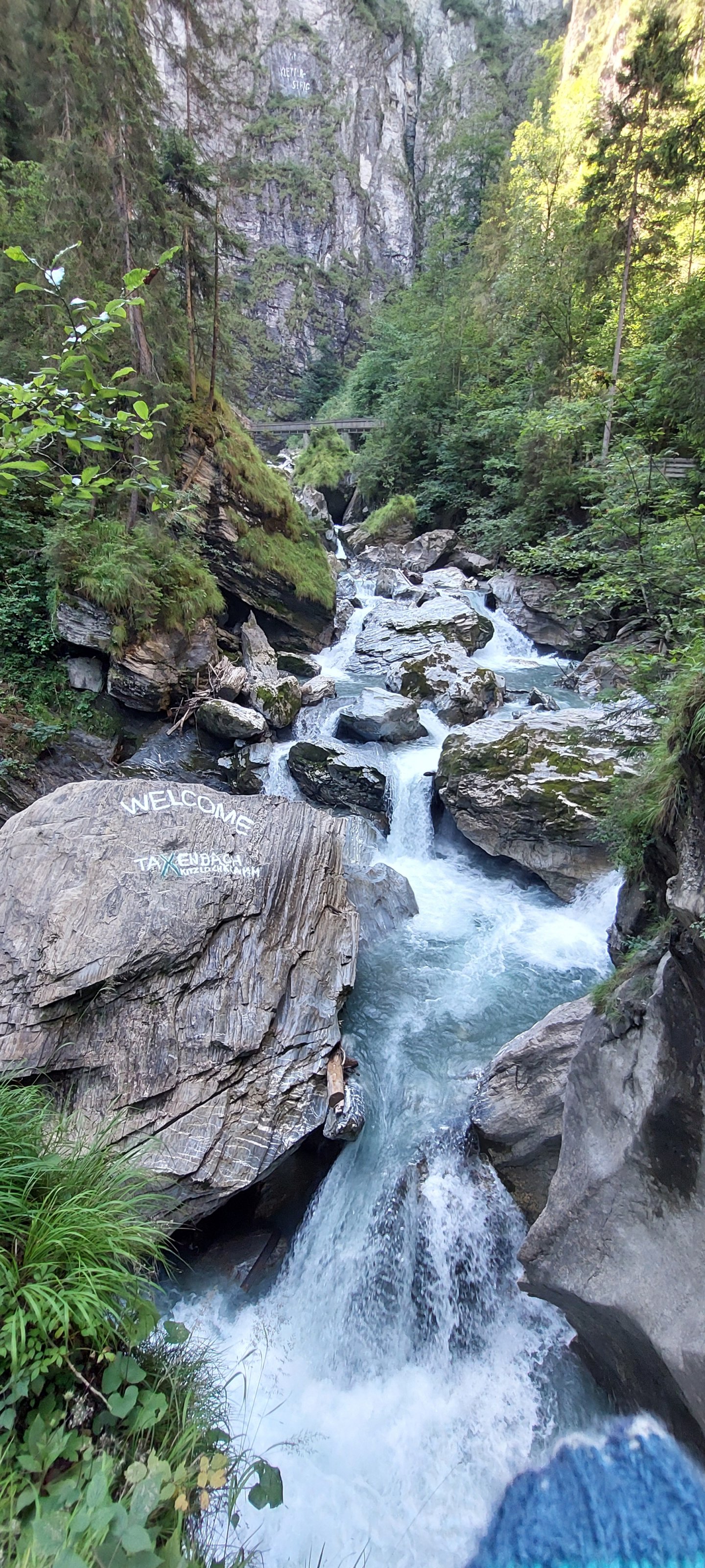 20250809_103442.jpg