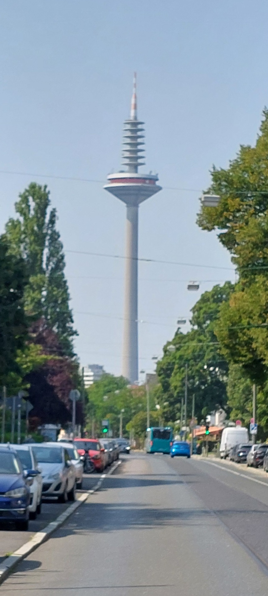 20250815_123054.jpg