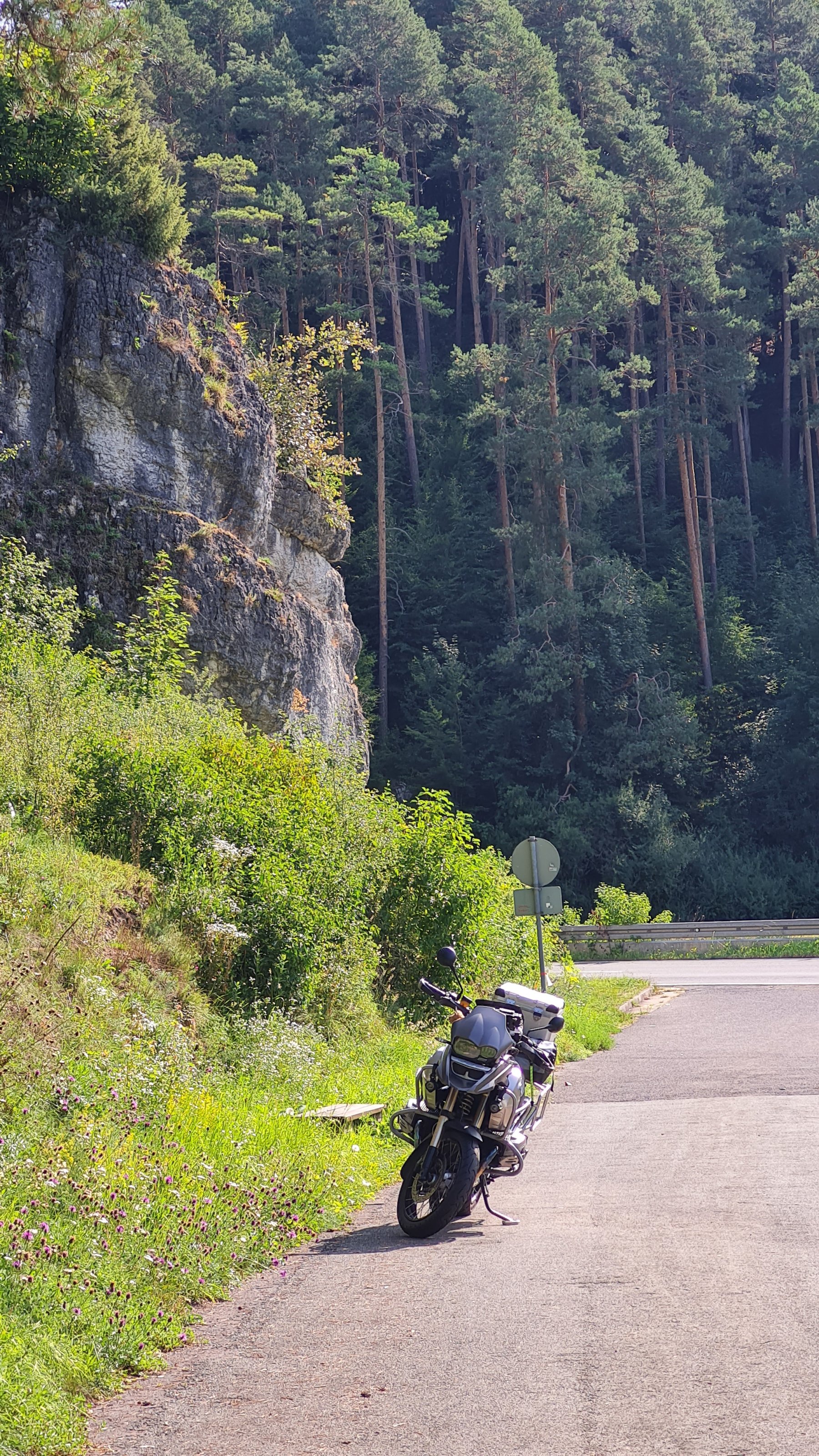 20250817_102441.jpg