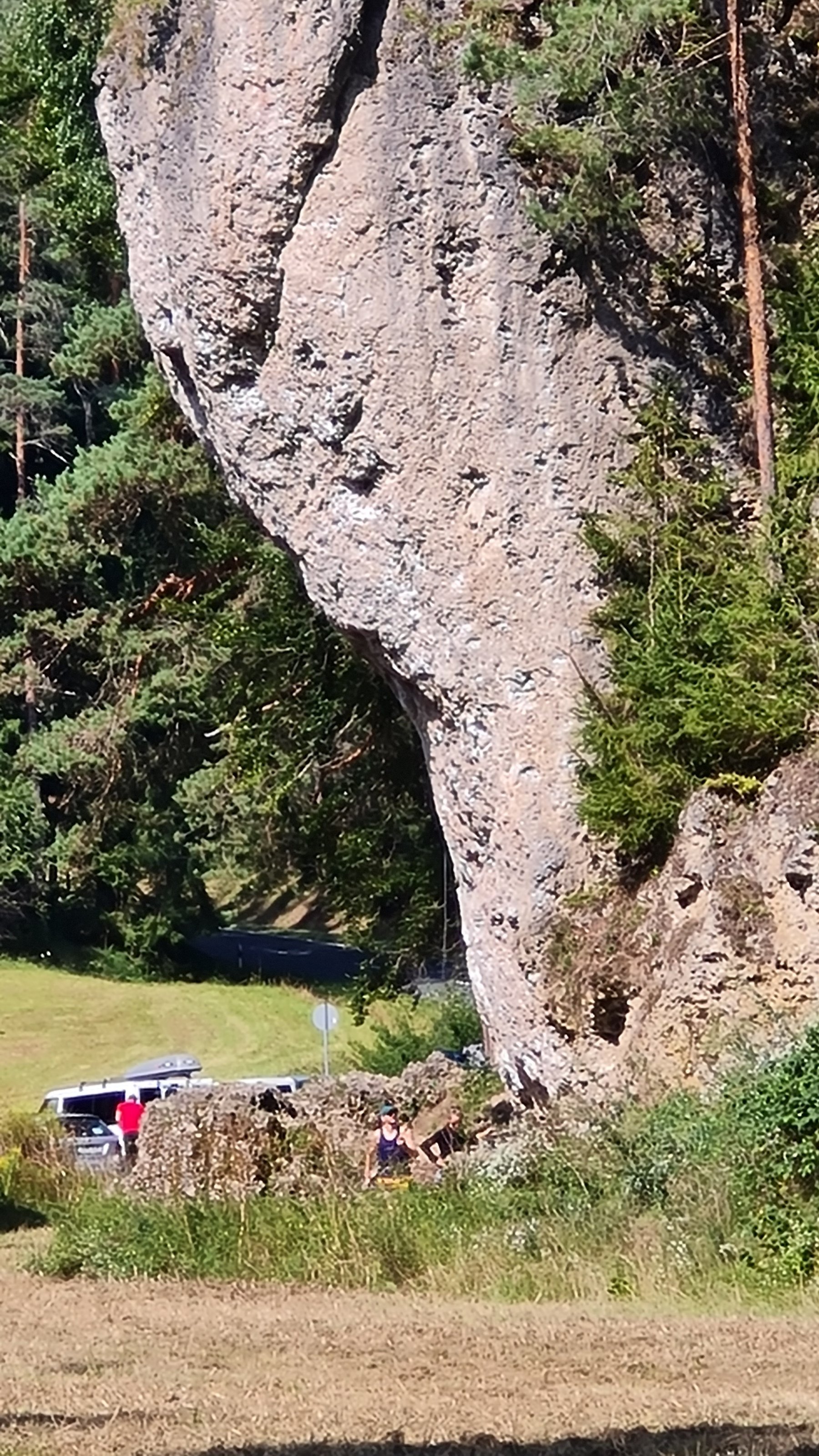 20250817_104902.jpg