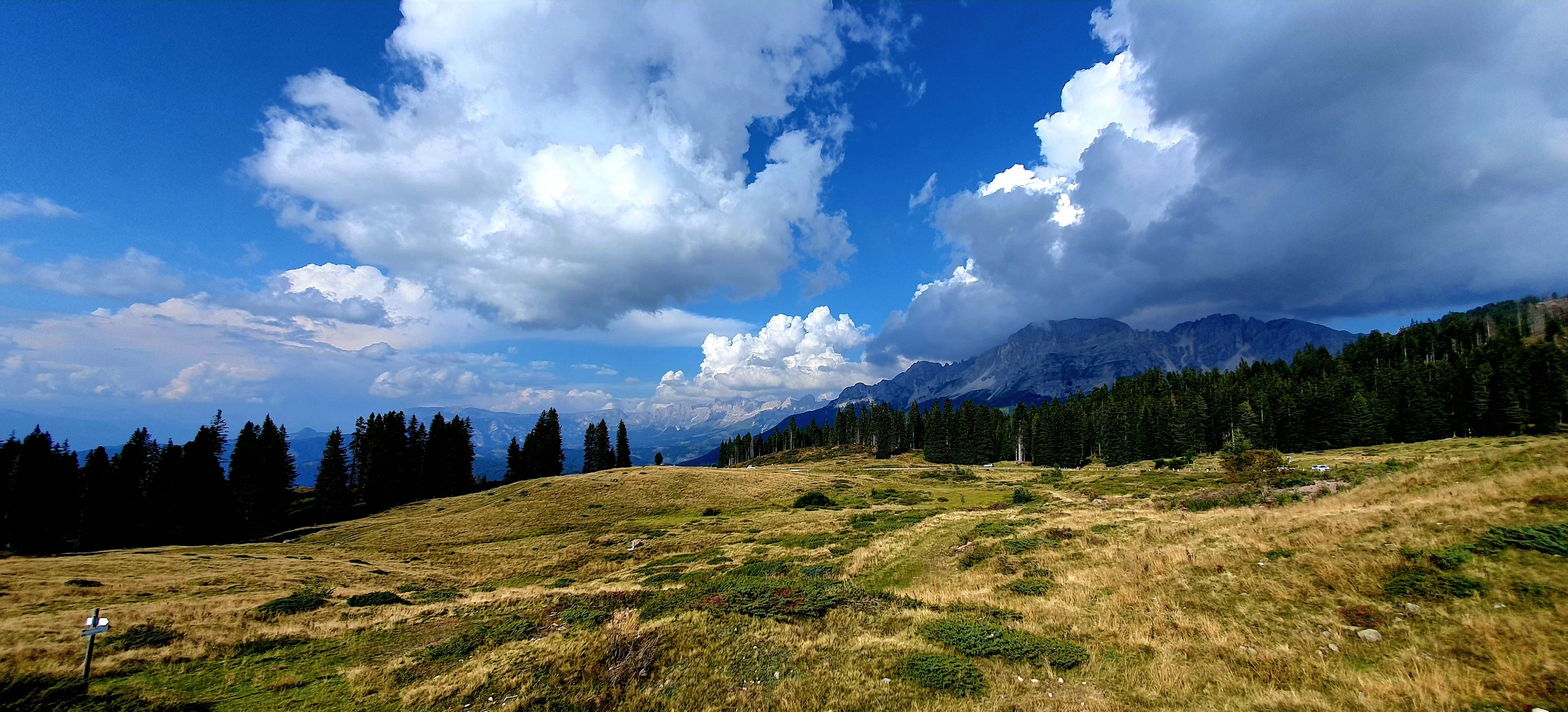 20250819_172106.jpg