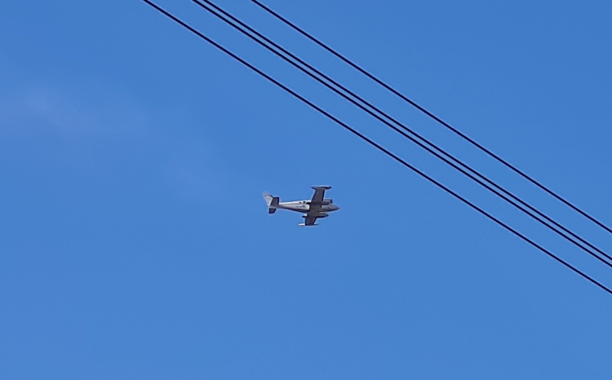 20250826_081559.jpg