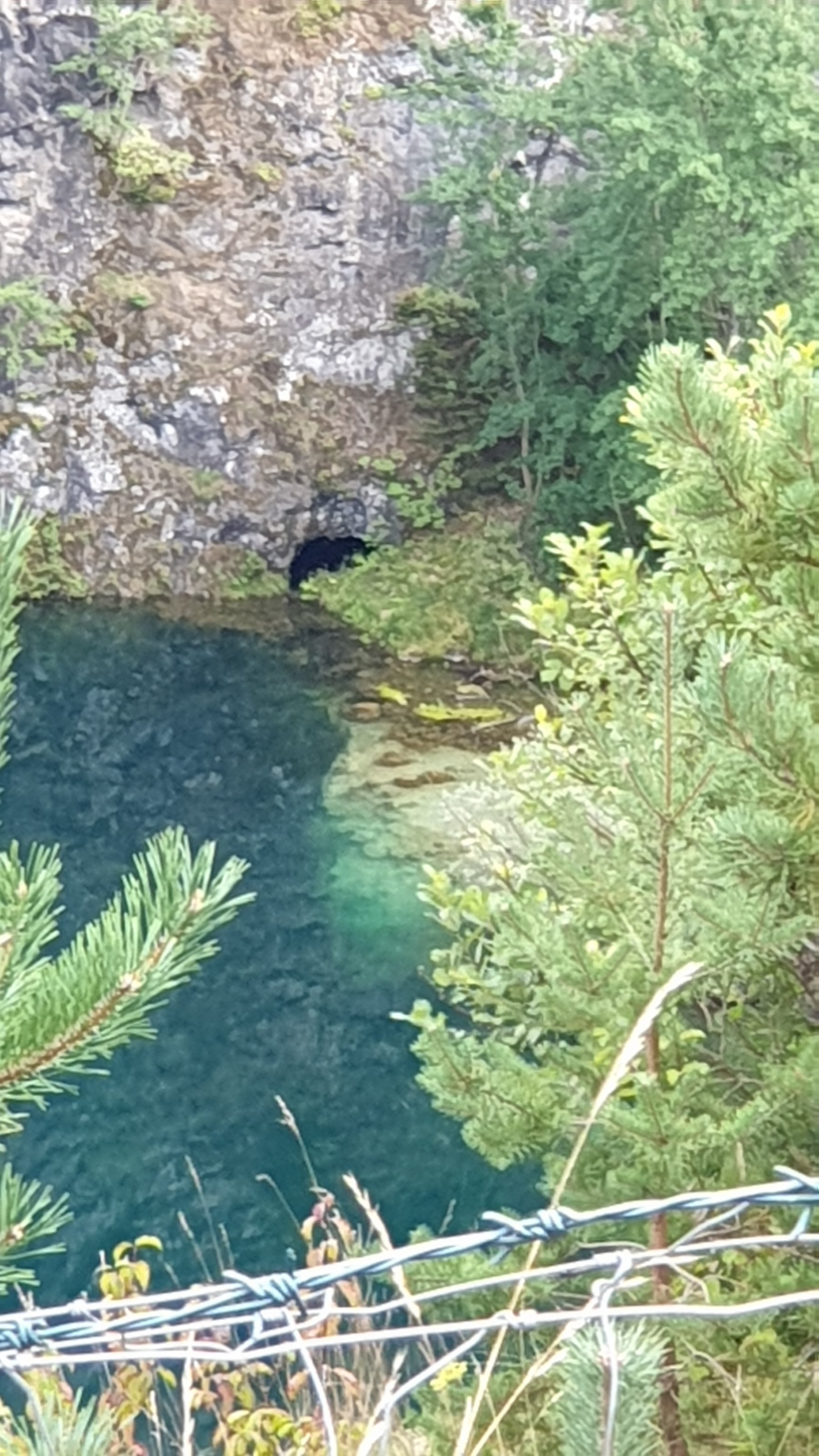 20250826_182420.jpg