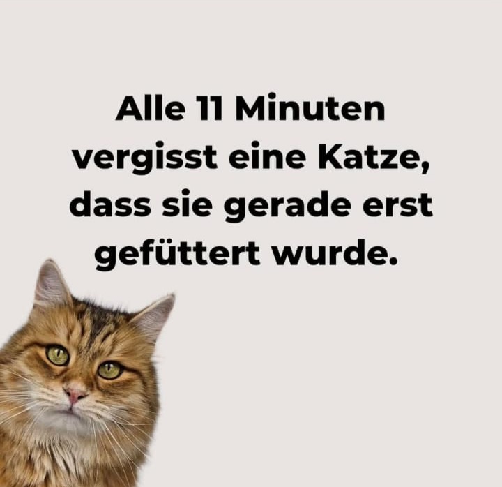 20250829_155030.jpg