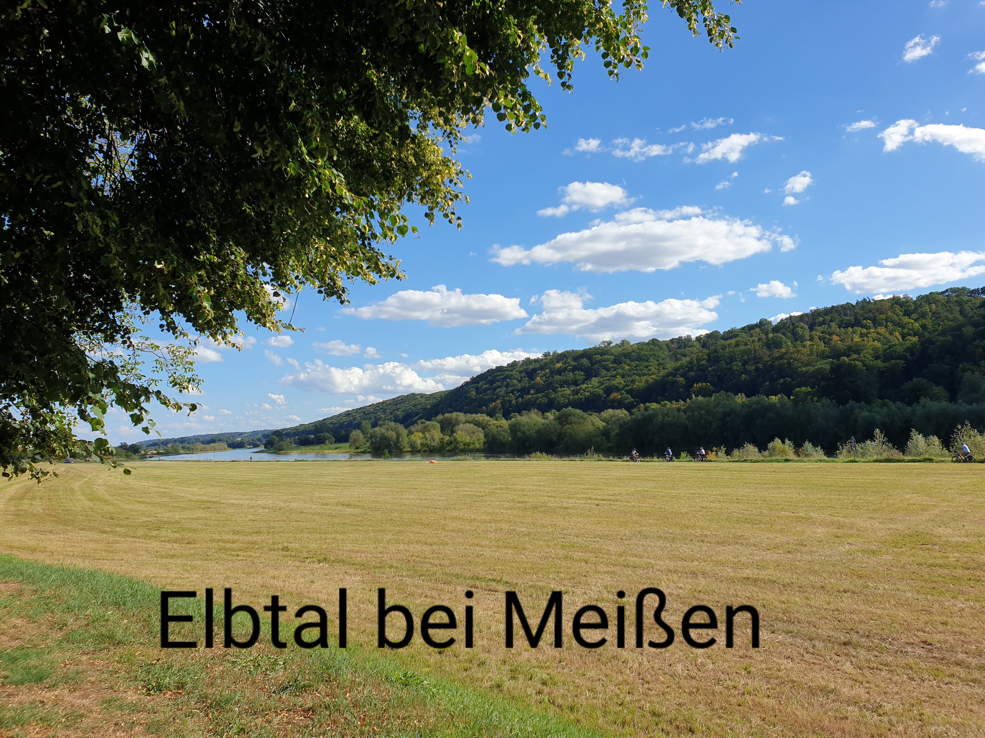 20250831_220946.jpg