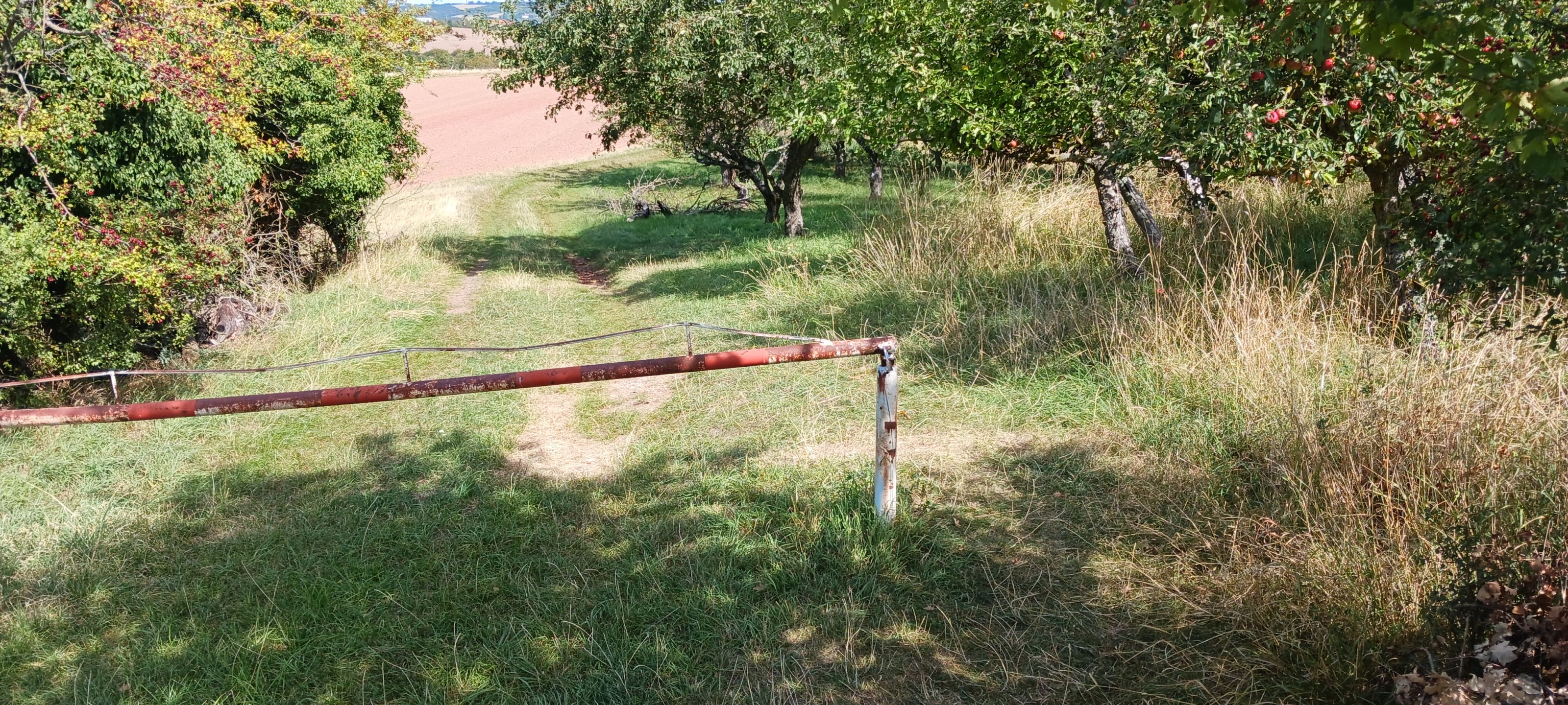 20250906_125954.jpg