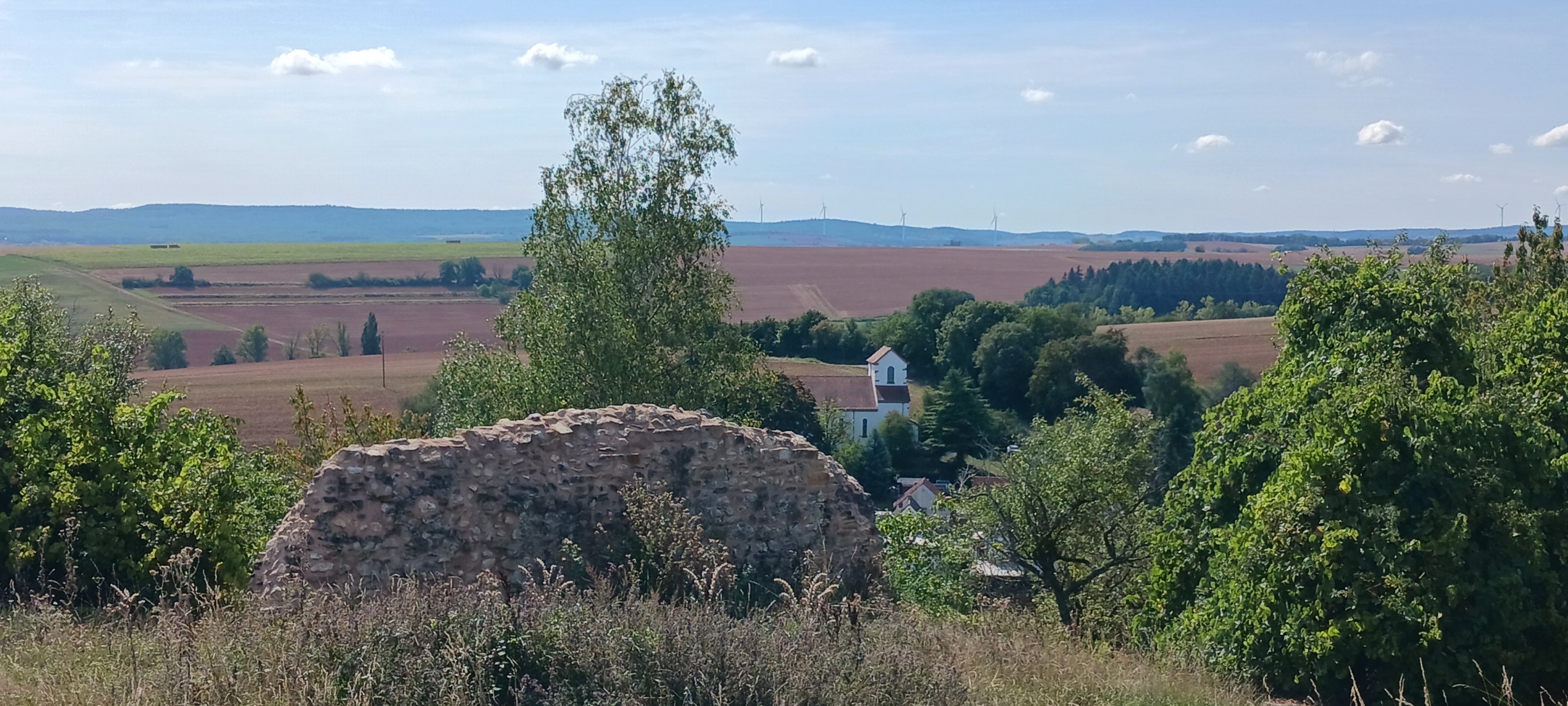 20250906_130203.jpg