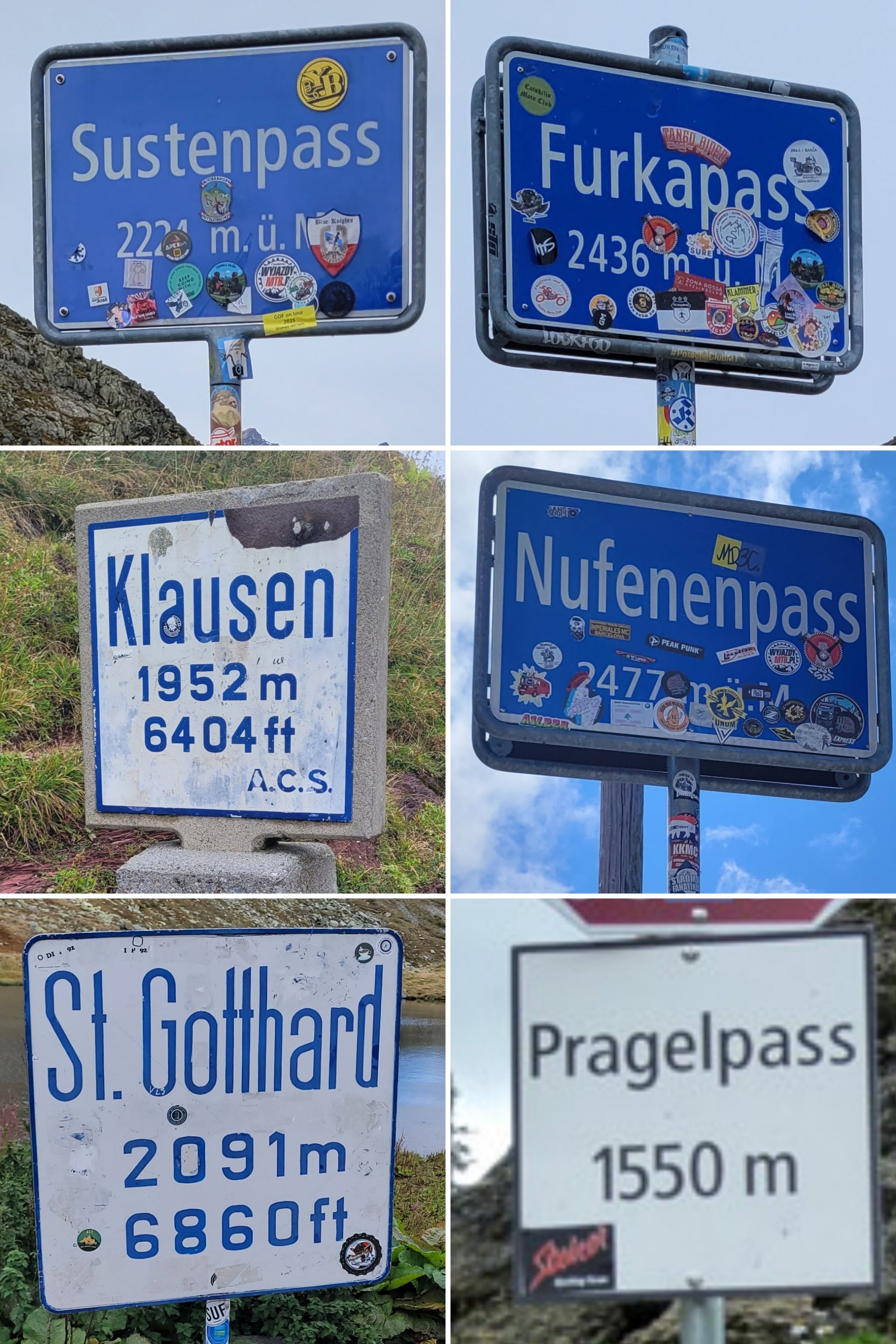 20250911_170931-COLLAGE.jpg