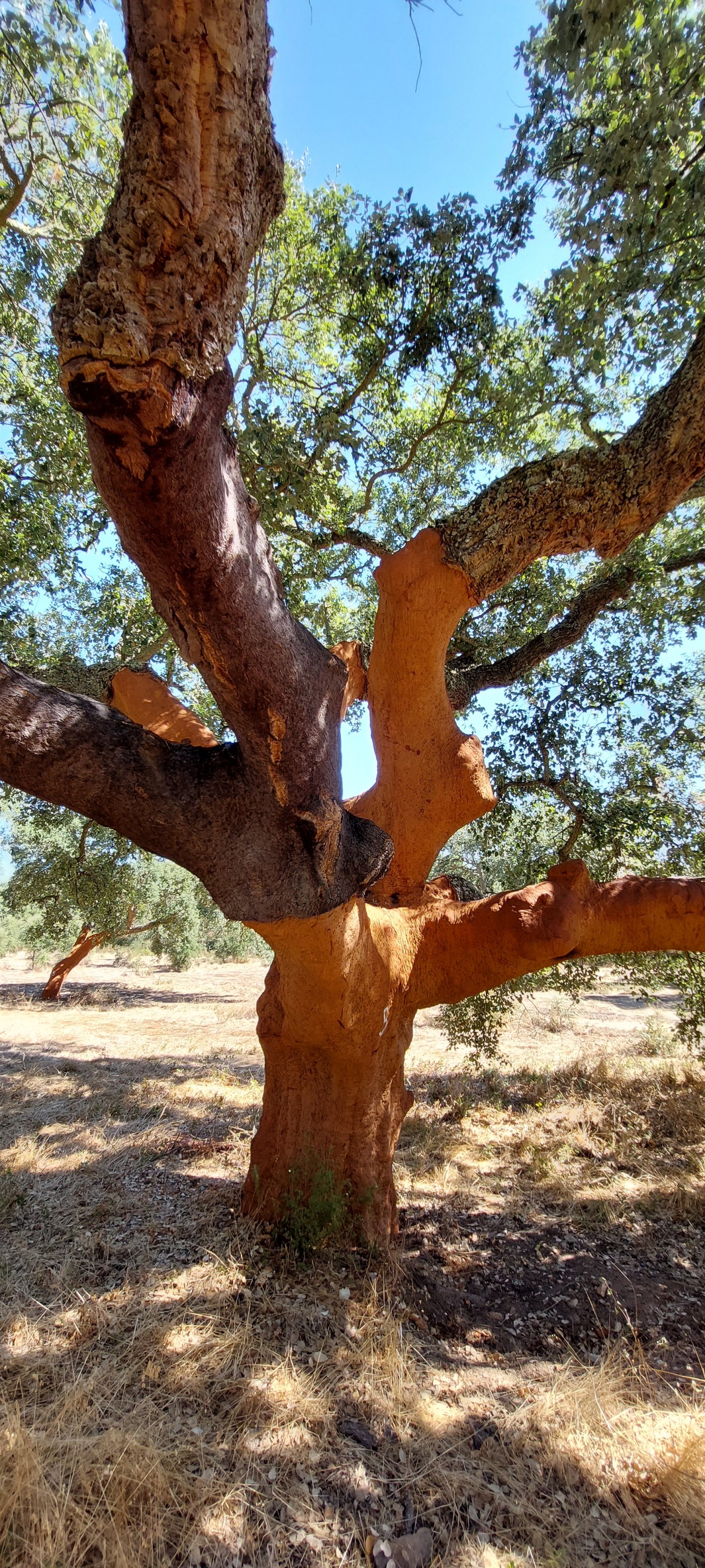 20250915_115939.jpg