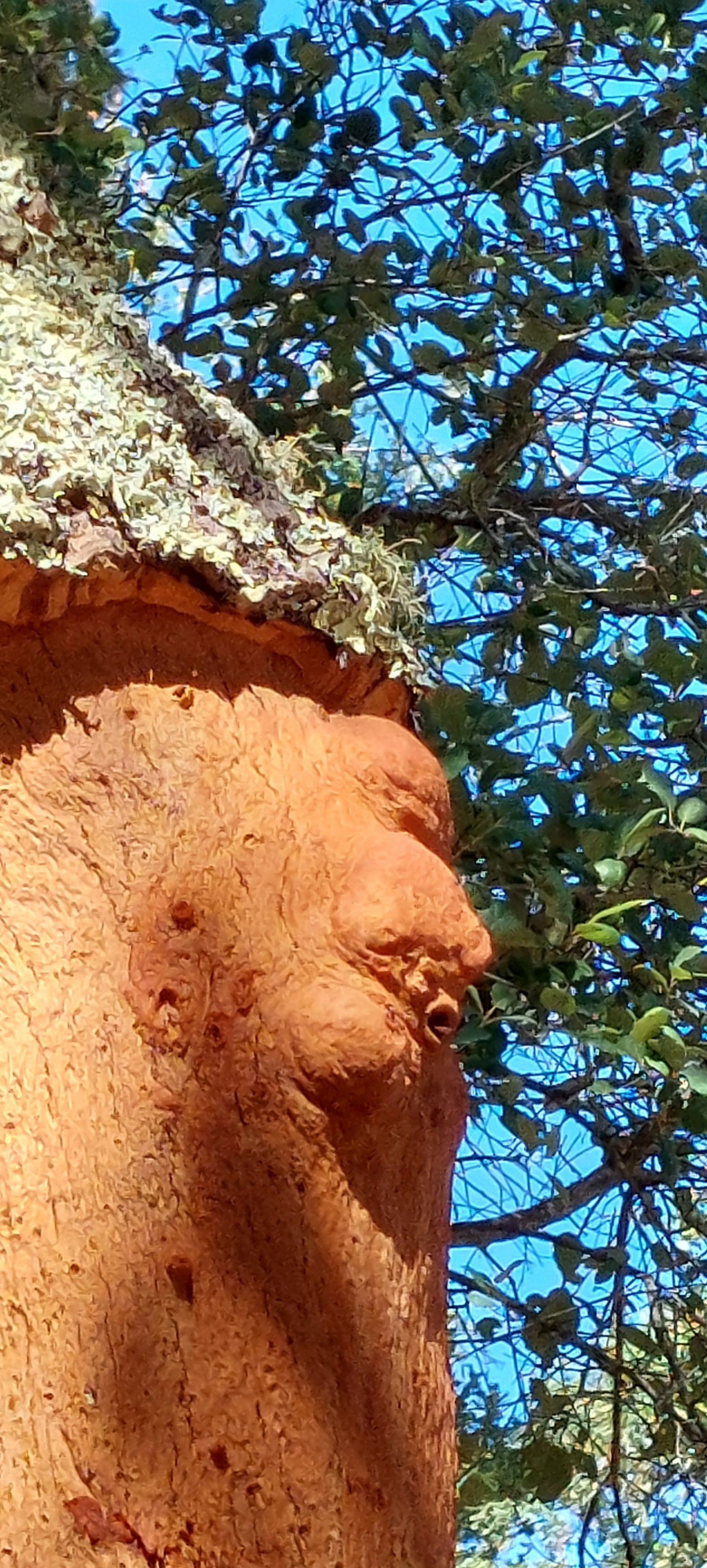 20250915_120058.jpg