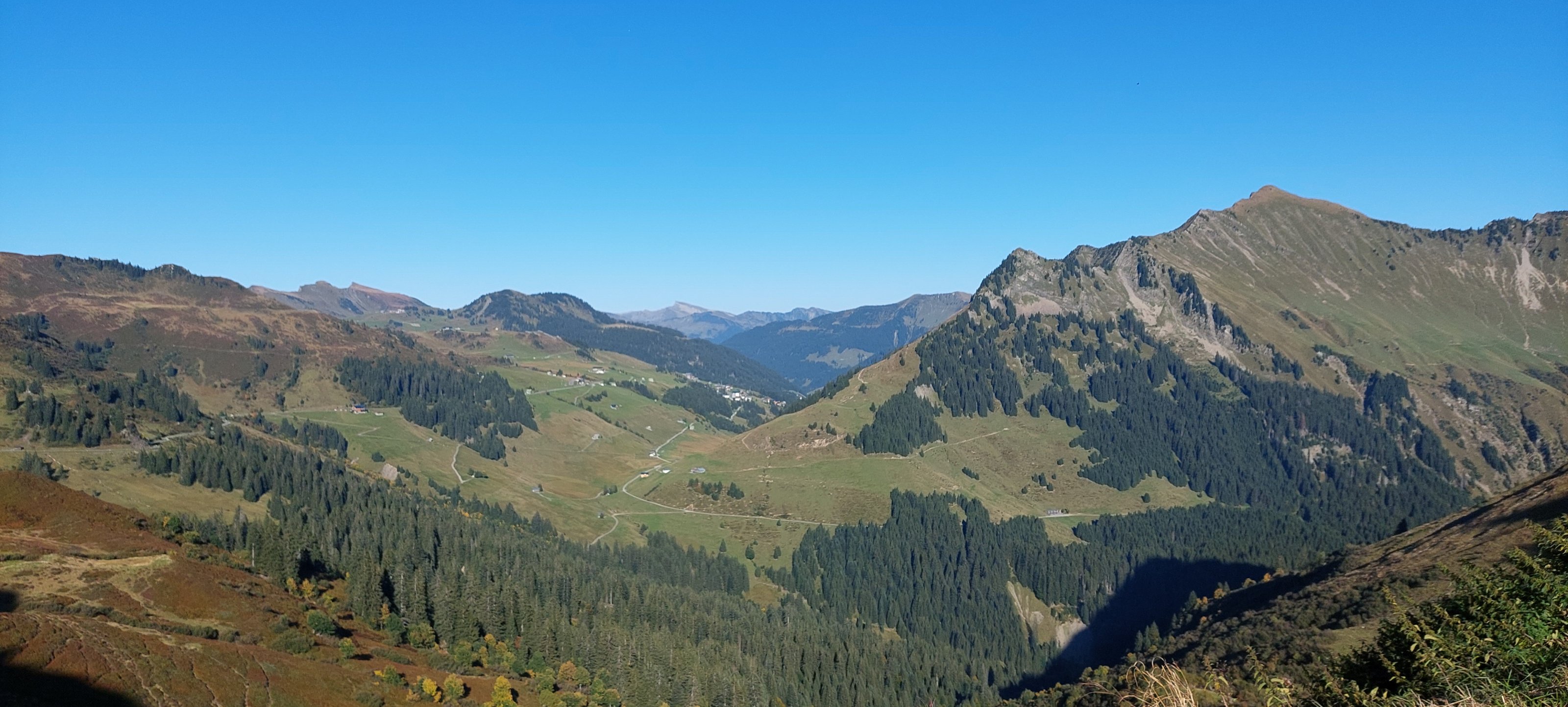 20250919_164932.jpg