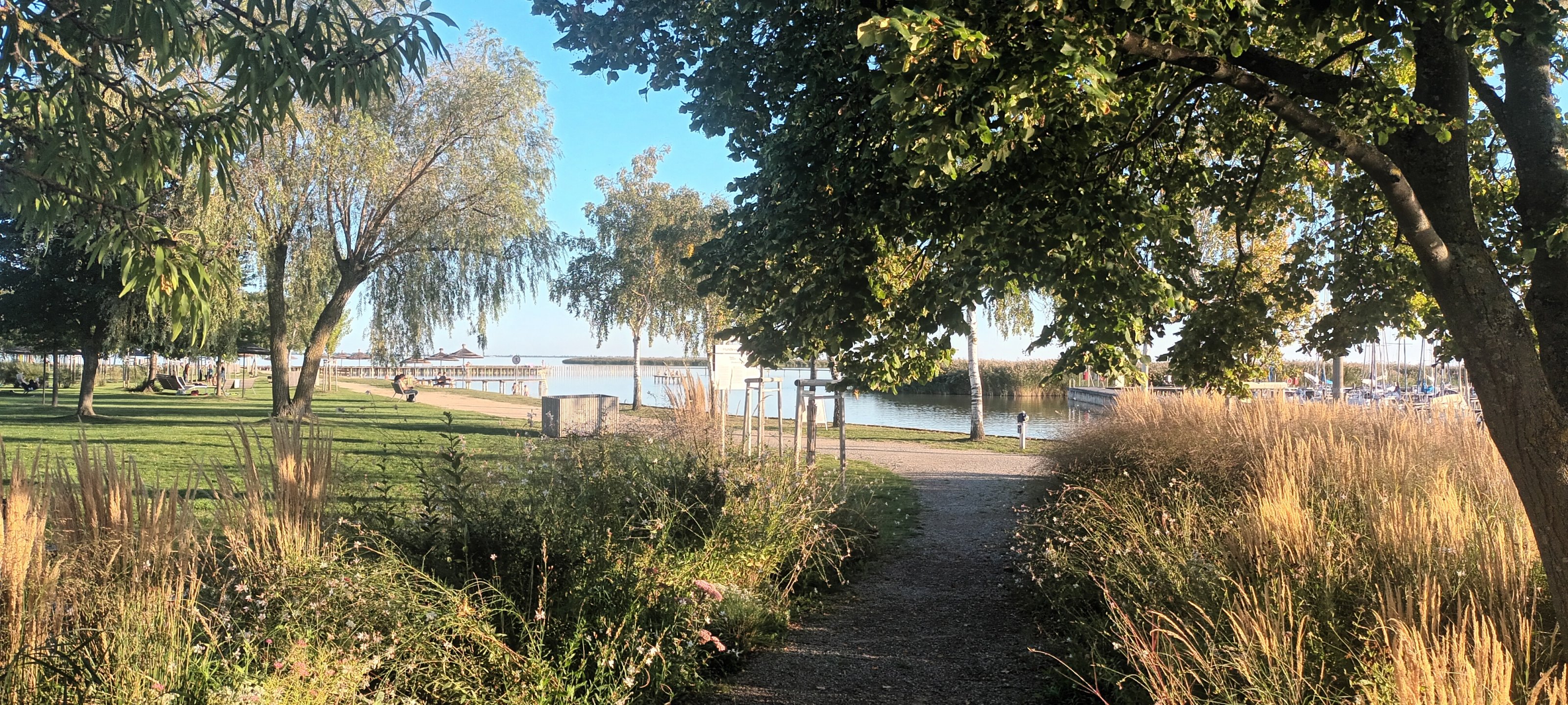 20250919_174810.jpg