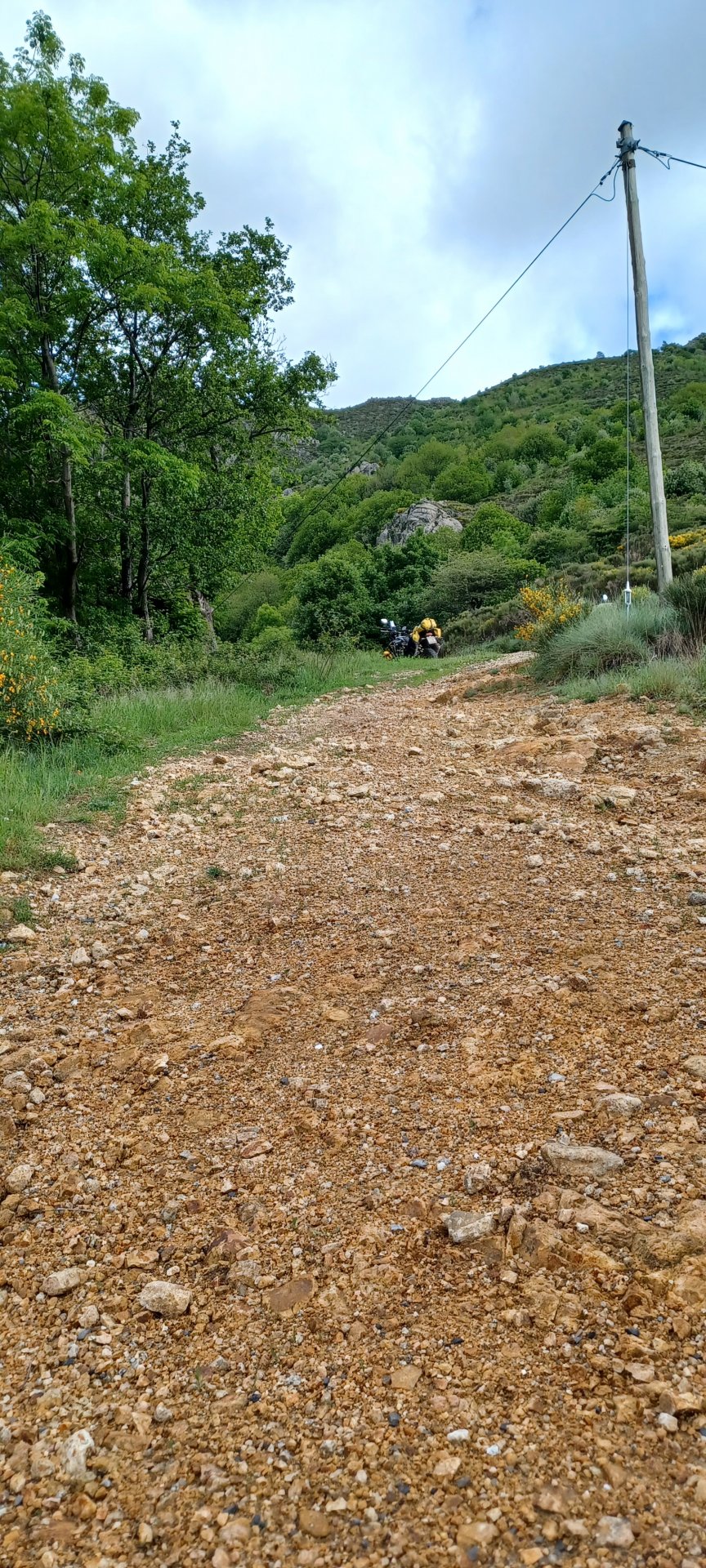 20260511_094223.jpg