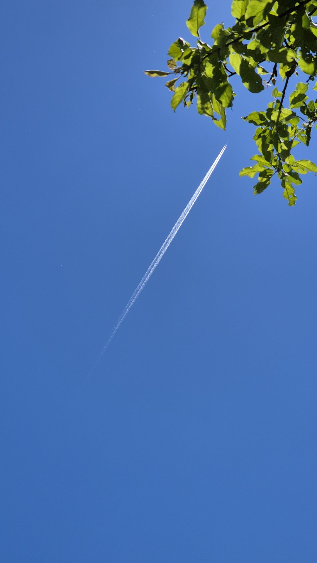 20260525_135339.jpg